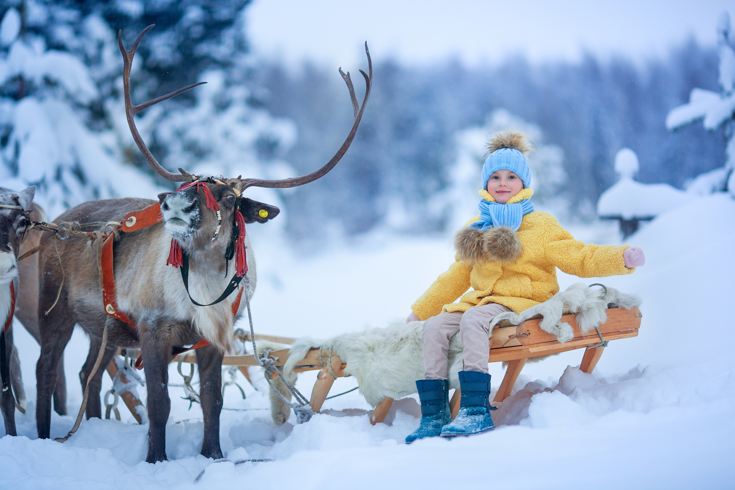 Нинель и олени. Детский и семейный фотограф Екатерина Васильева