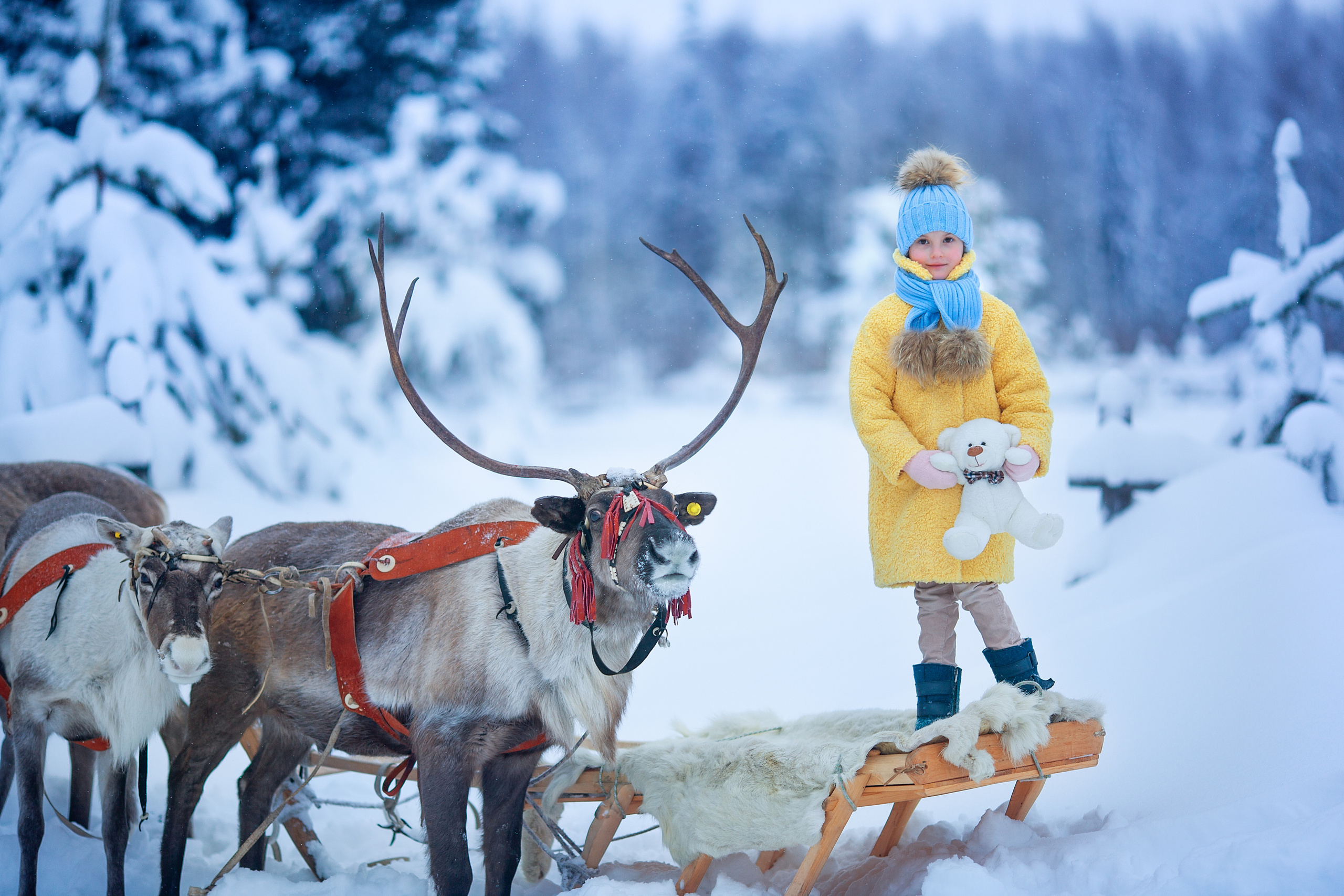 Нинель и олени. Детский и семейный фотограф Екатерина Васильева