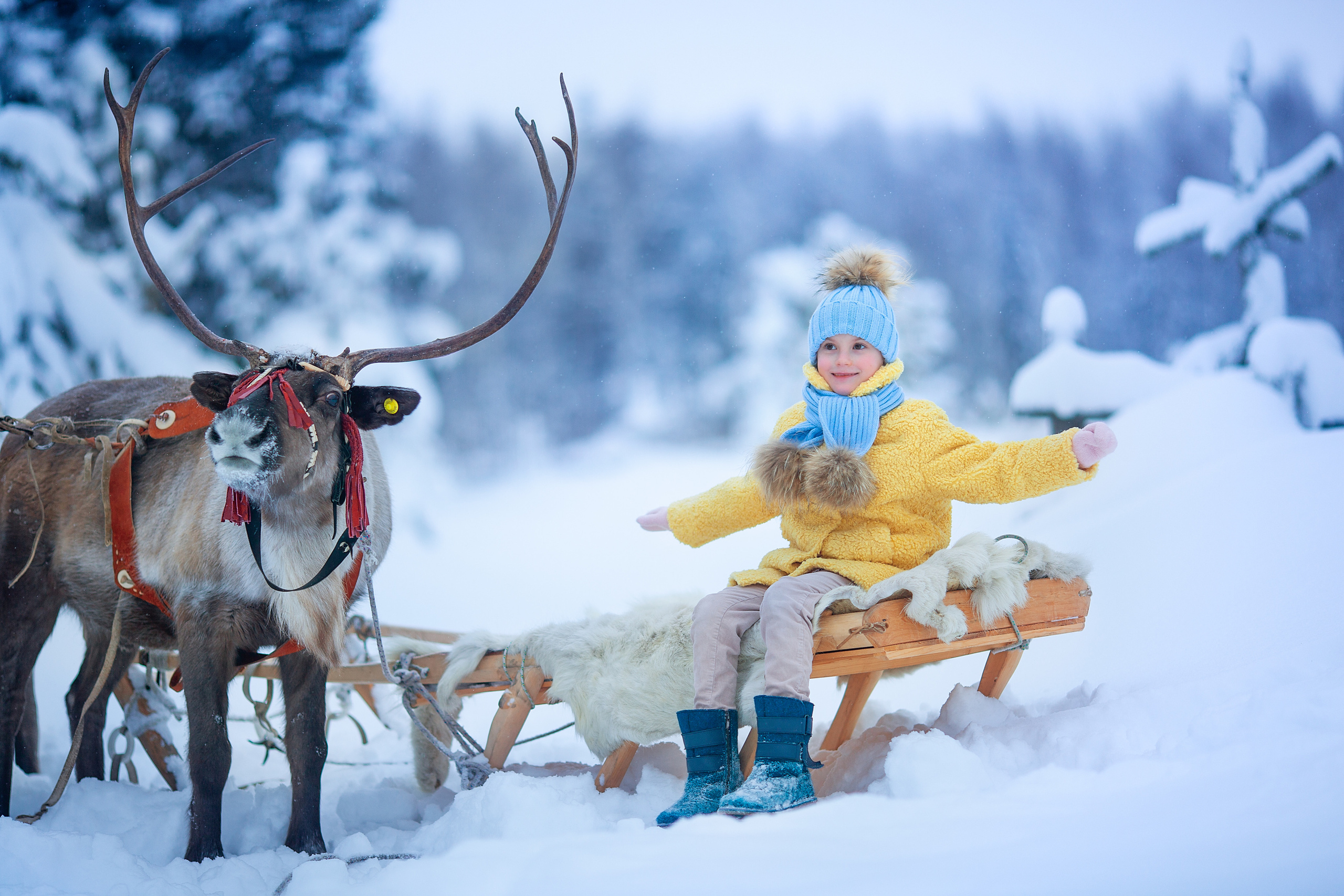 Нинель и олени. Детский и семейный фотограф Екатерина Васильева