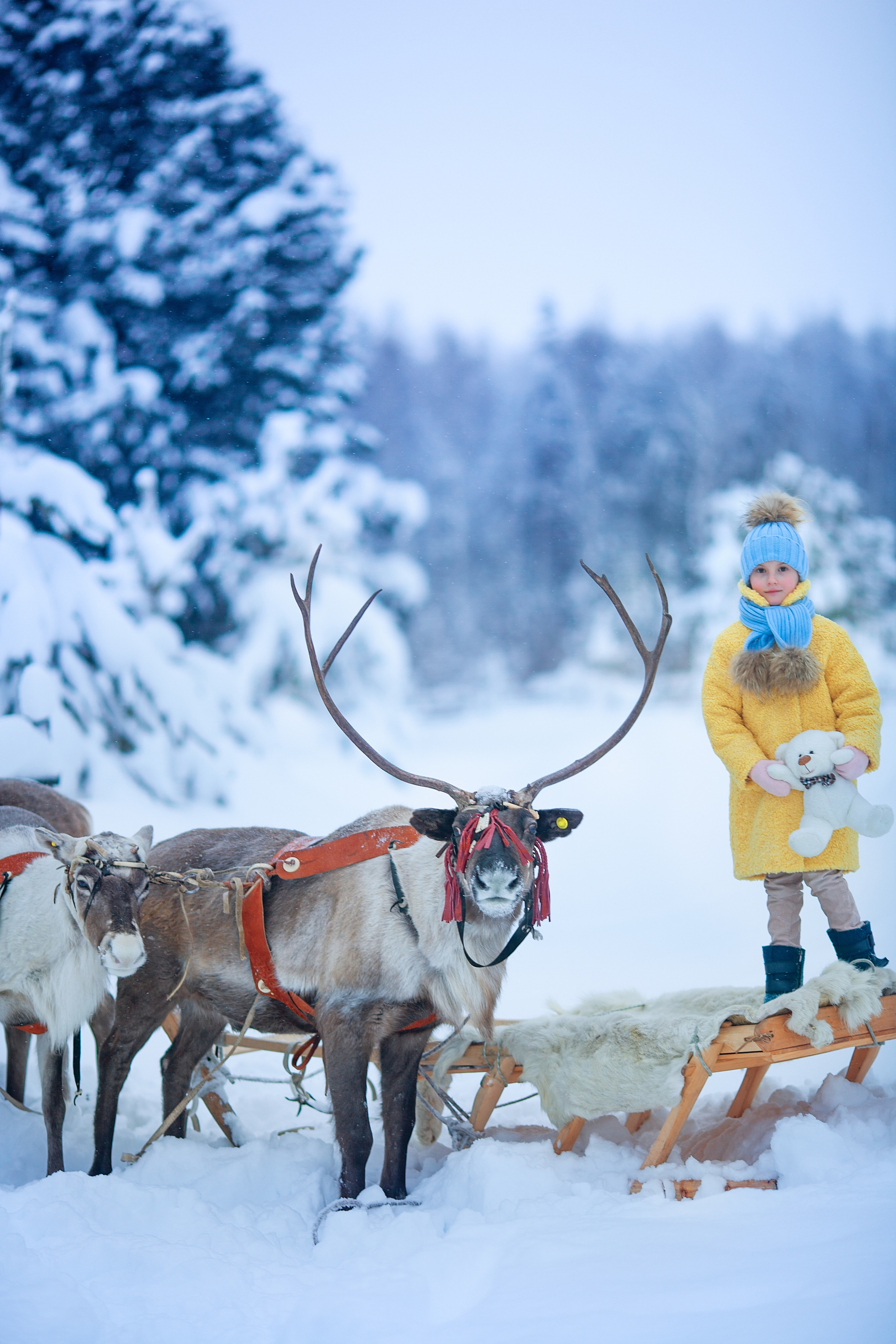 Нинель и олени. Детский и семейный фотограф Екатерина Васильева