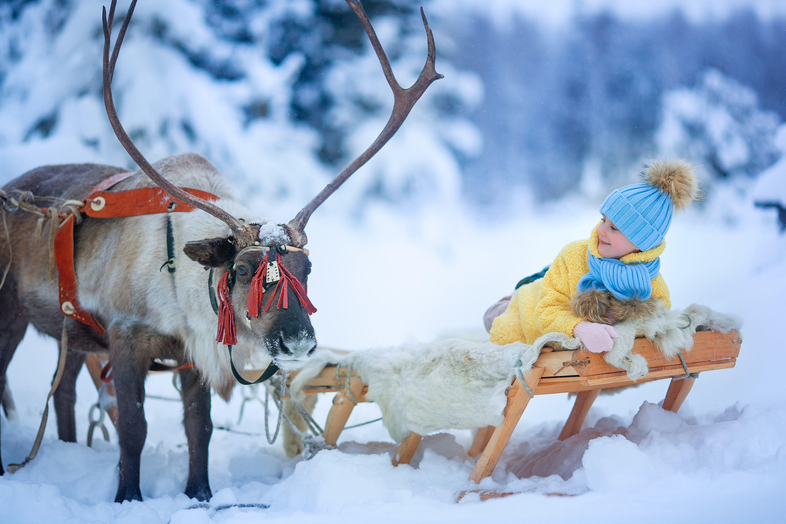 Нинель и олени. Детский и семейный фотограф Екатерина Васильева