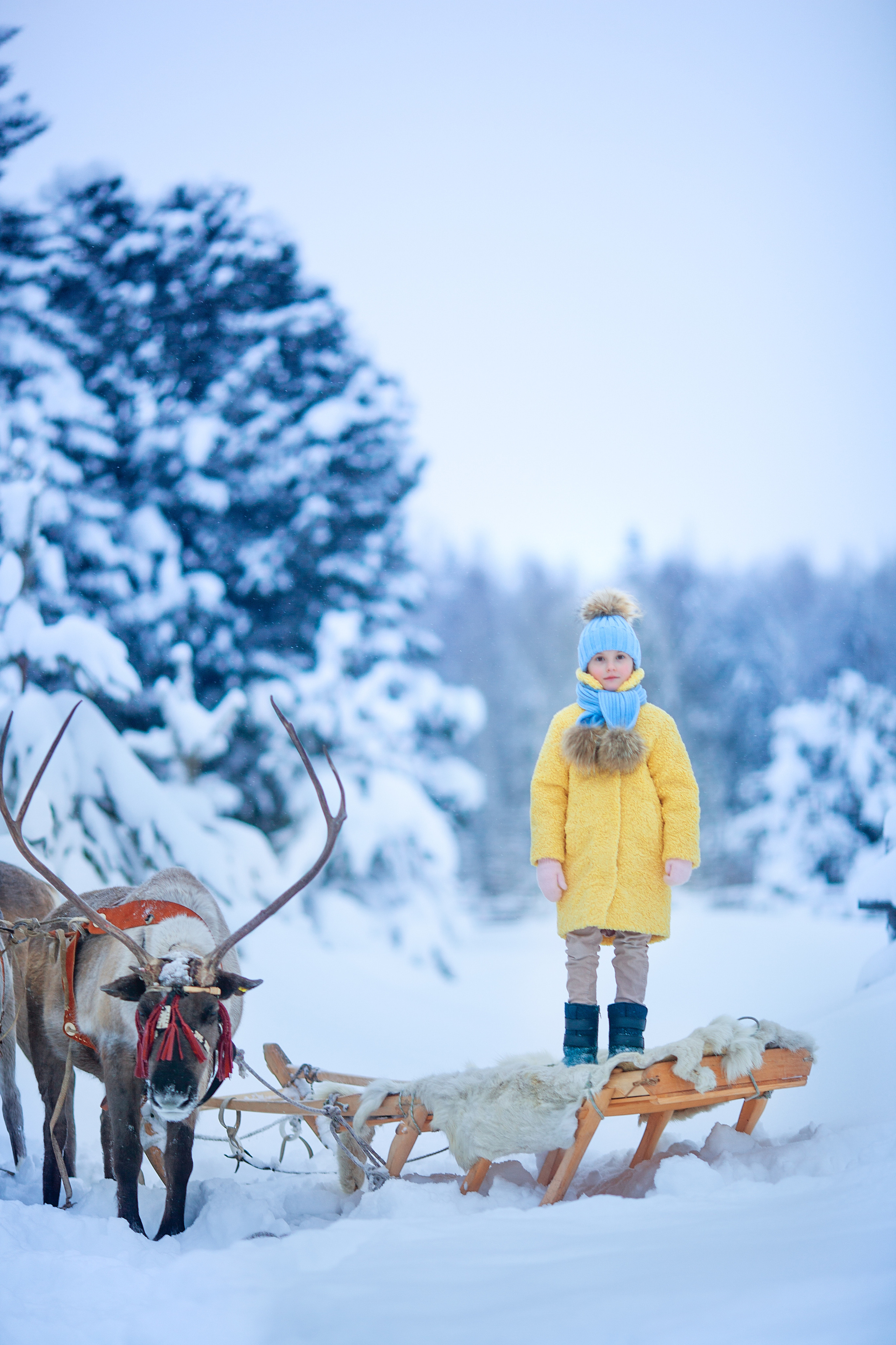 Нинель и олени. Детский и семейный фотограф Екатерина Васильева