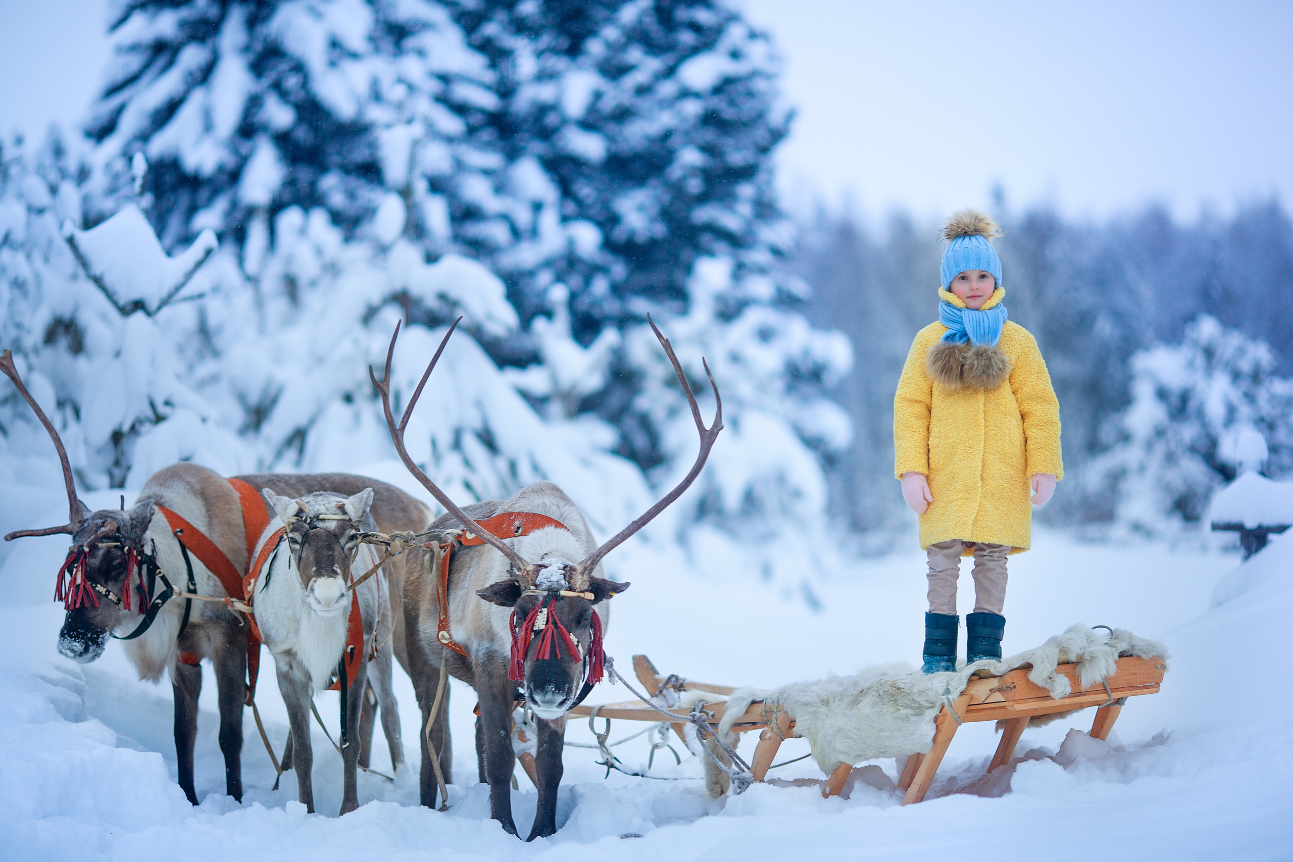 Нинель и олени. Детский и семейный фотограф Екатерина Васильева