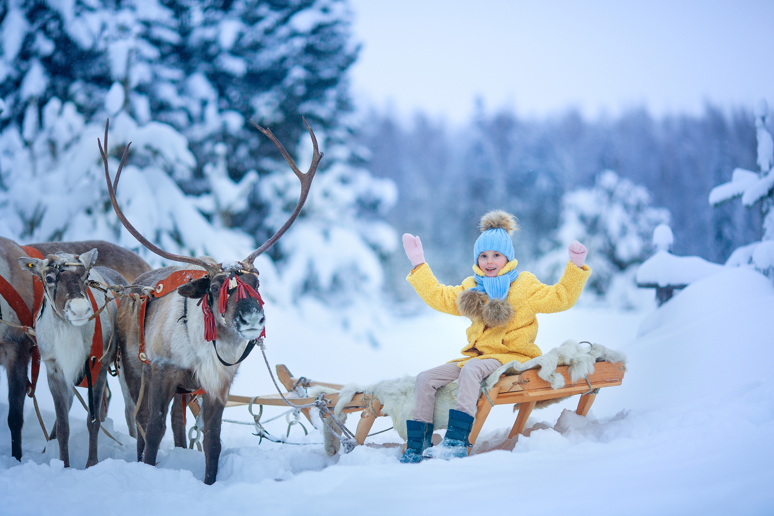 Нинель и олени. Детский и семейный фотограф Екатерина Васильева