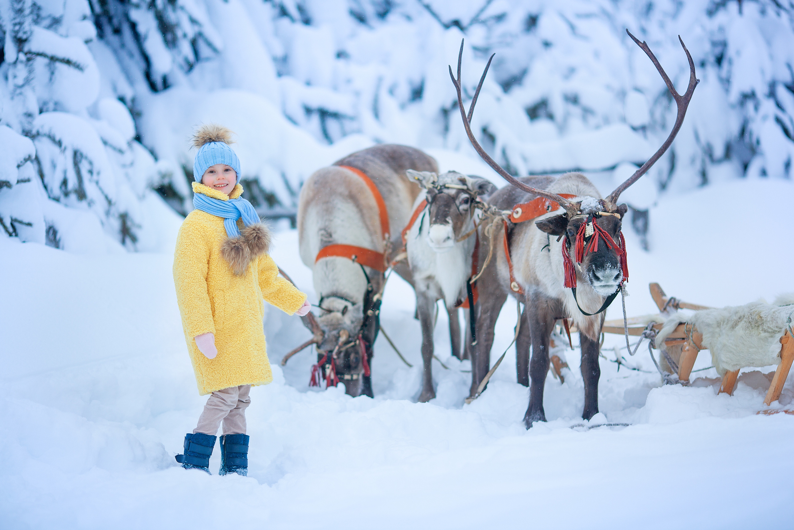 Нинель и олени. Детский и семейный фотограф Екатерина Васильева