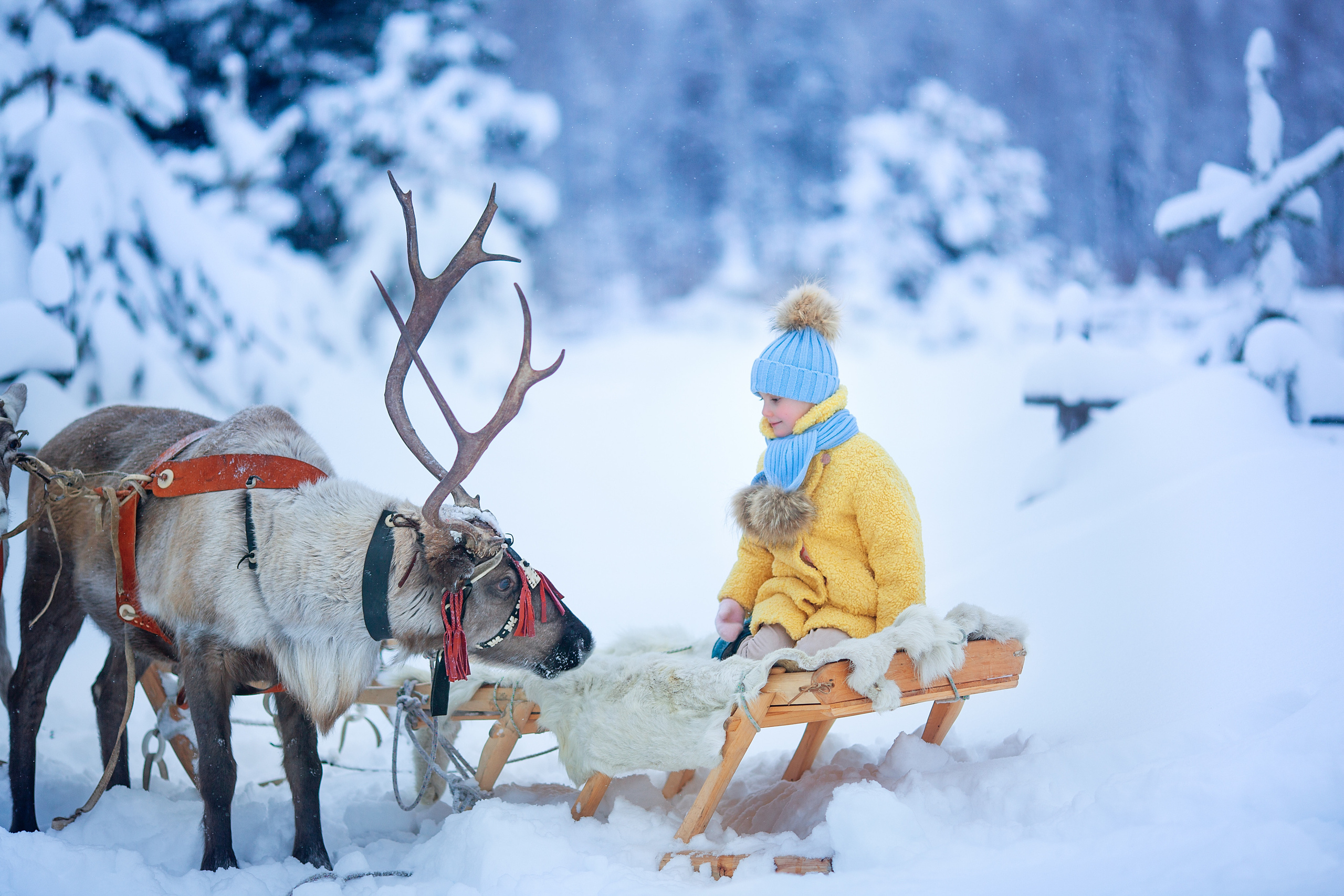 Нинель и олени. Детский и семейный фотограф Екатерина Васильева