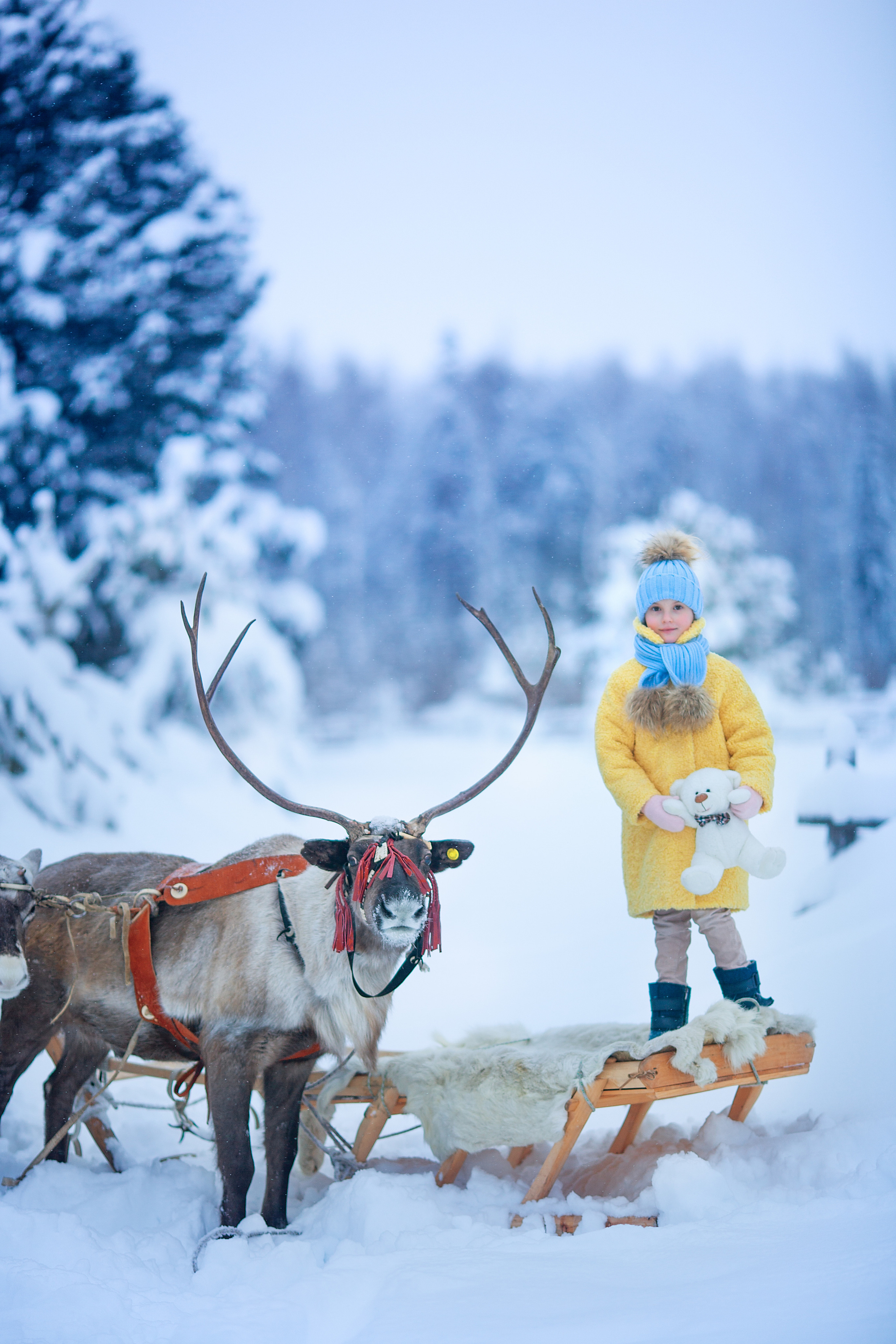Нинель и олени. Детский и семейный фотограф Екатерина Васильева