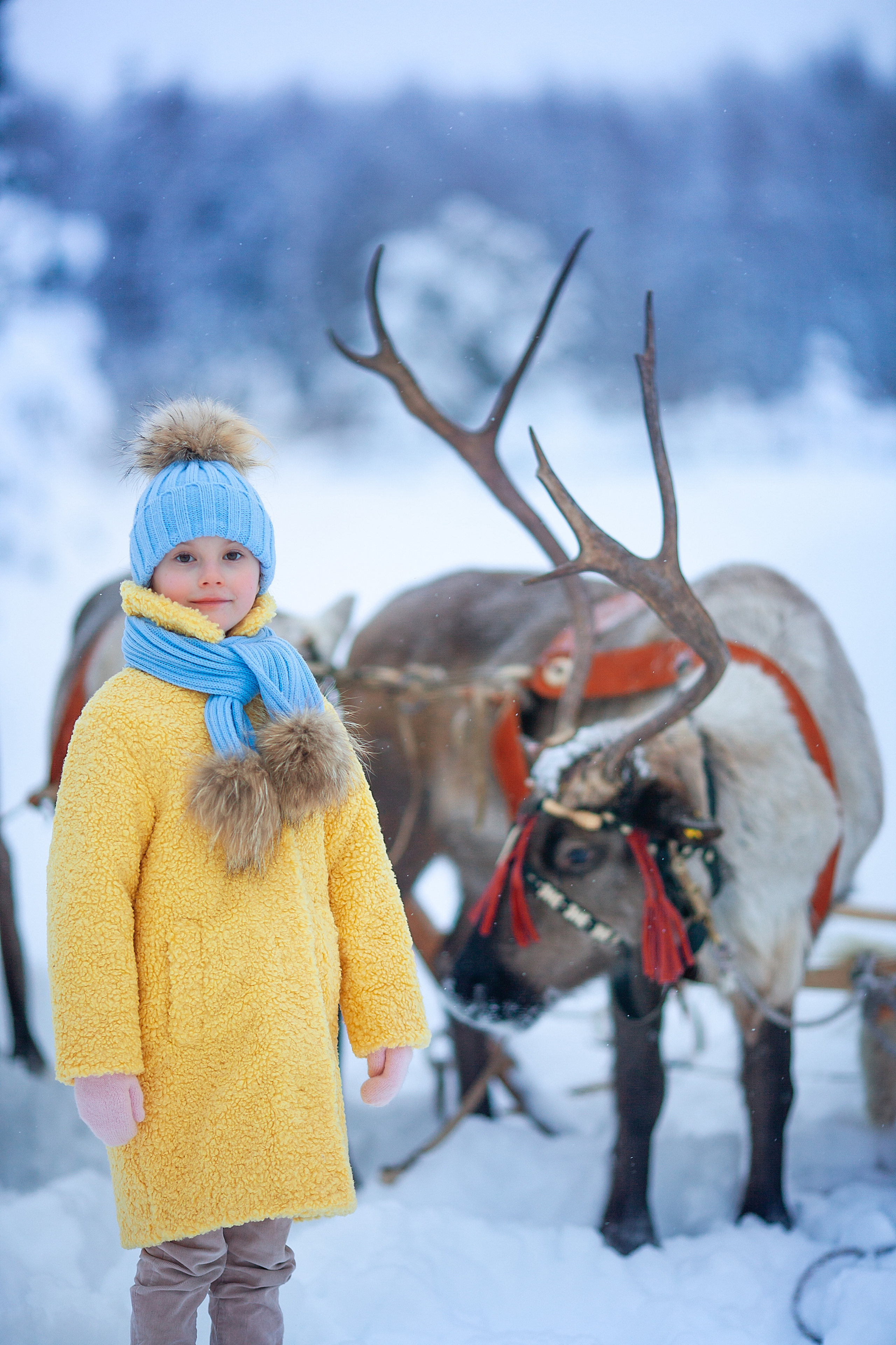 Нинель и олени. Детский и семейный фотограф Екатерина Васильева