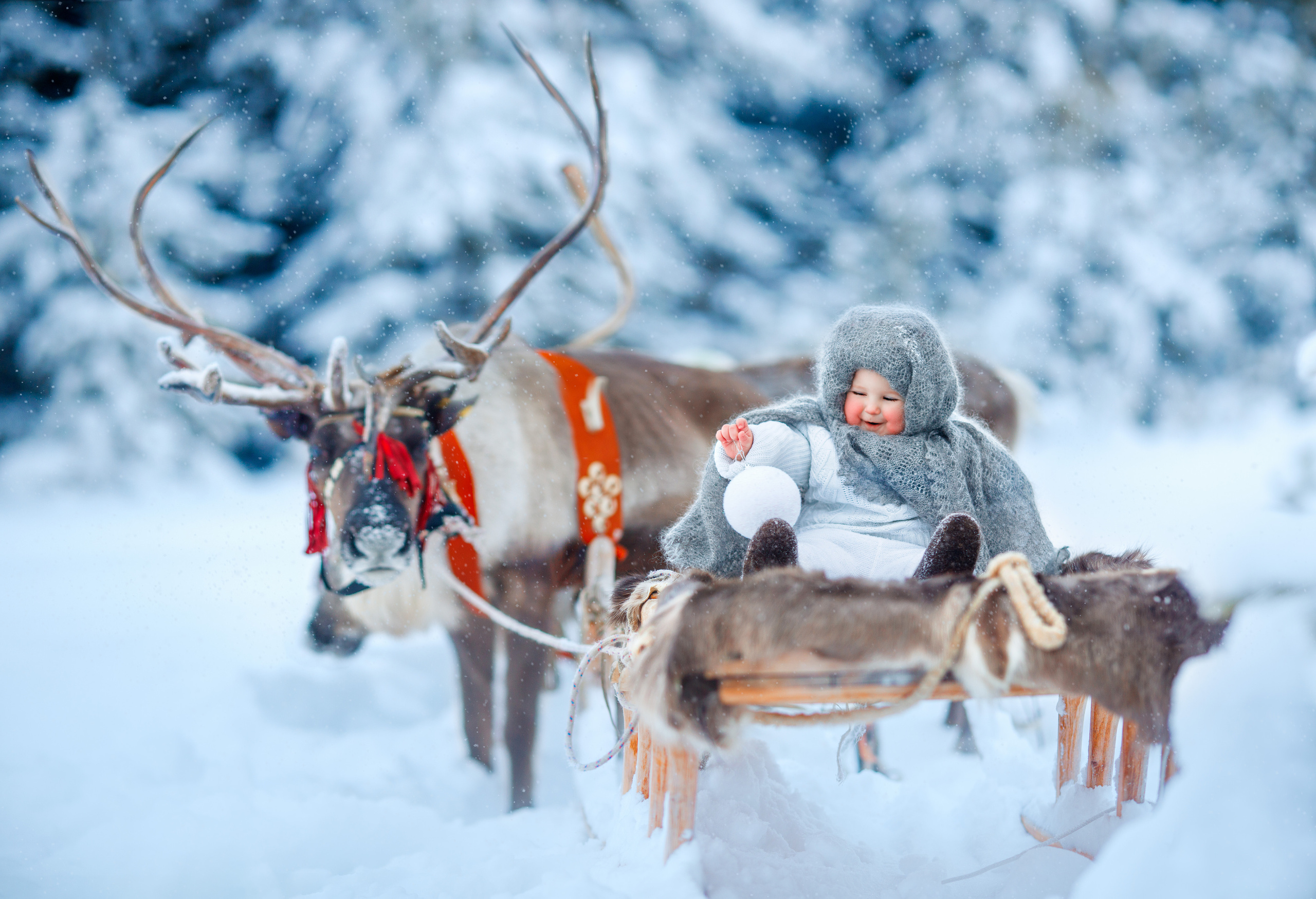Детский и семейный фотограф Екатерина Васильева