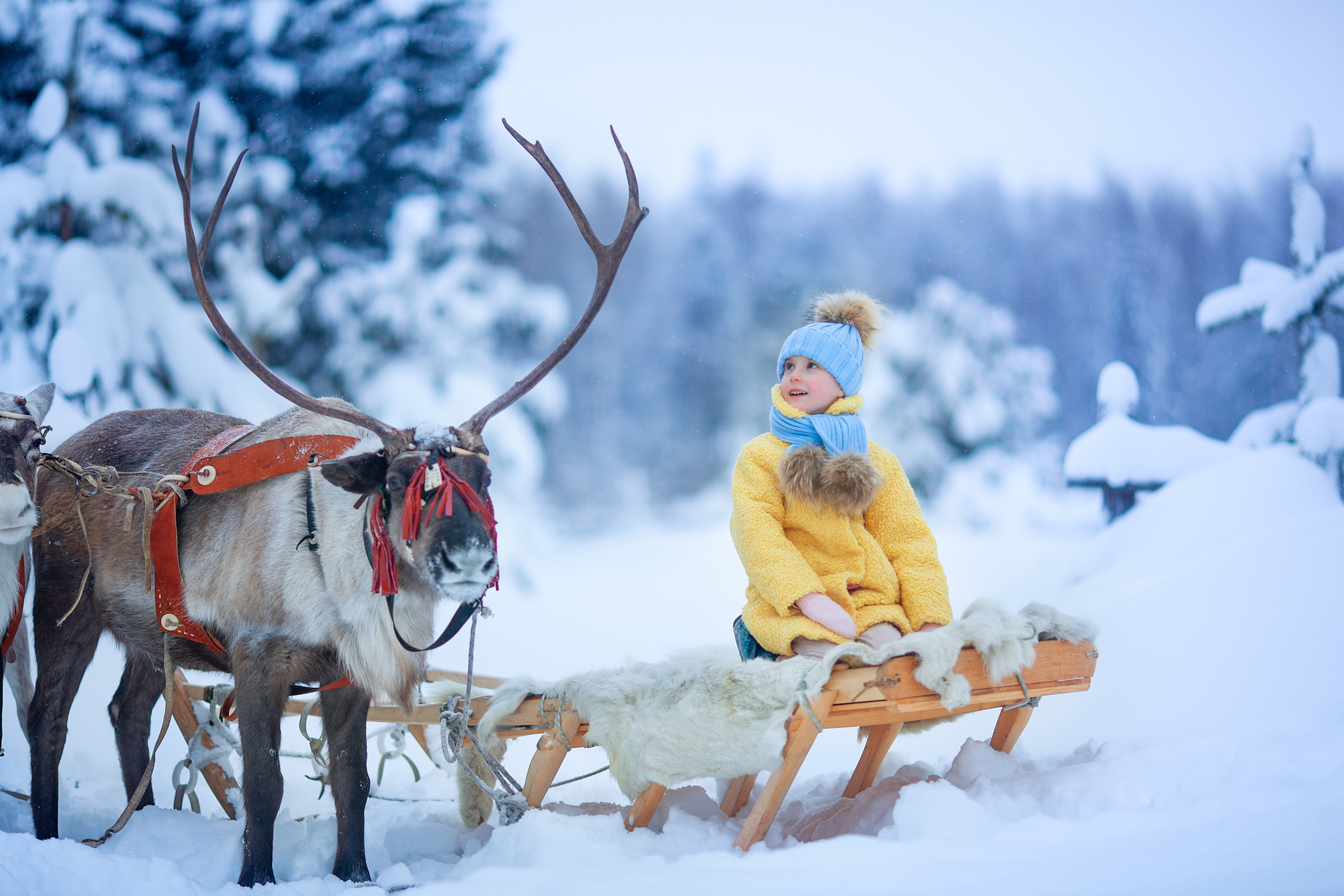 Нинель и олени. Детский и семейный фотограф Екатерина Васильева