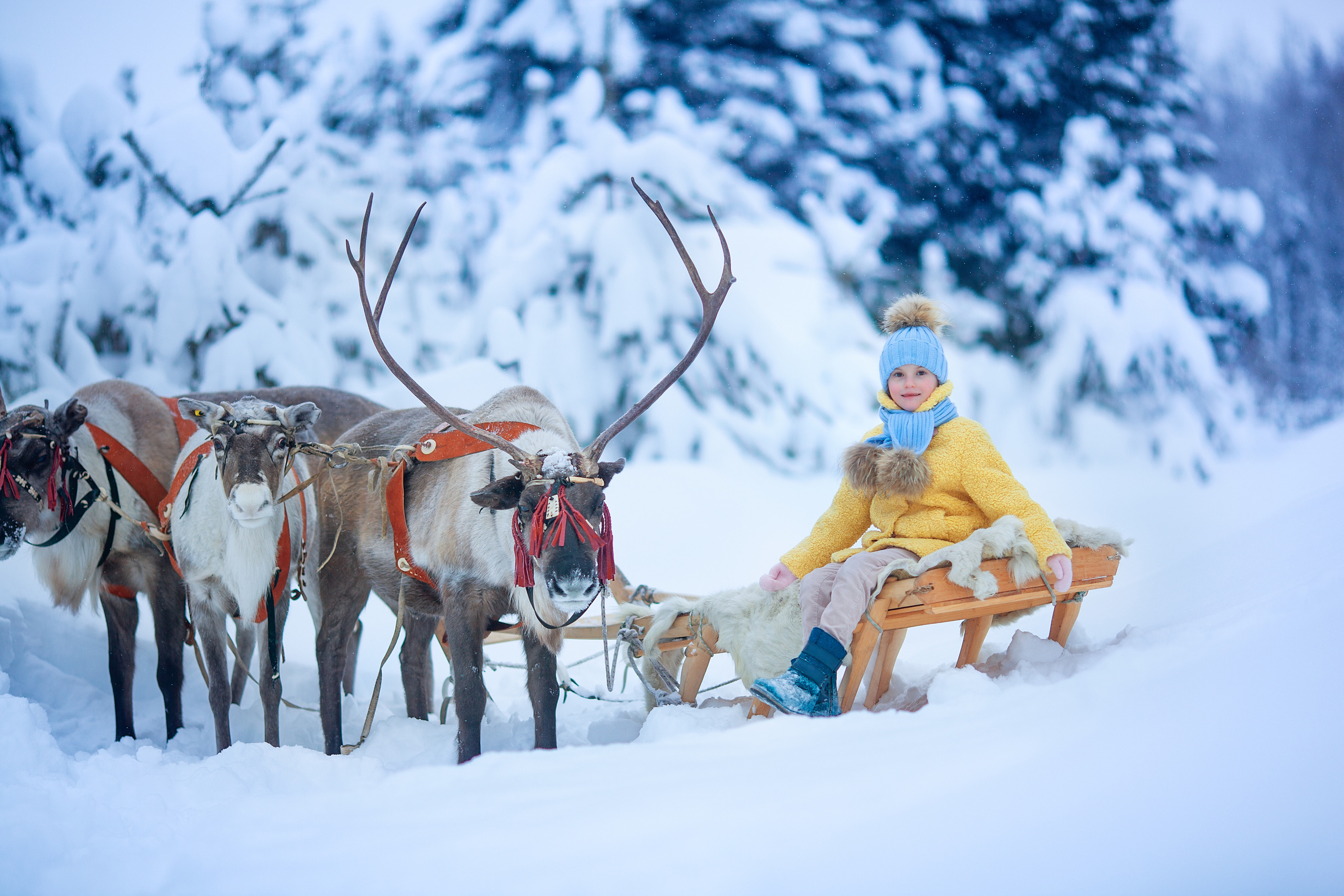 Нинель и олени. Детский и семейный фотограф Екатерина Васильева