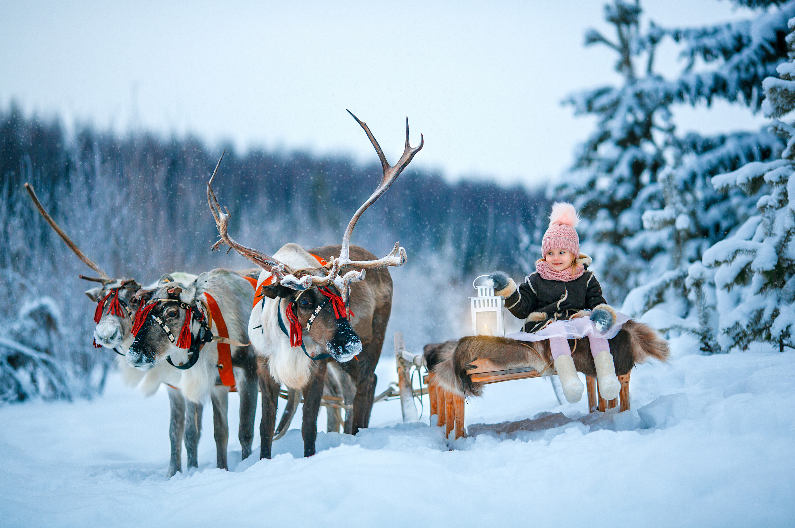 Детский и семейный фотограф Екатерина Васильева