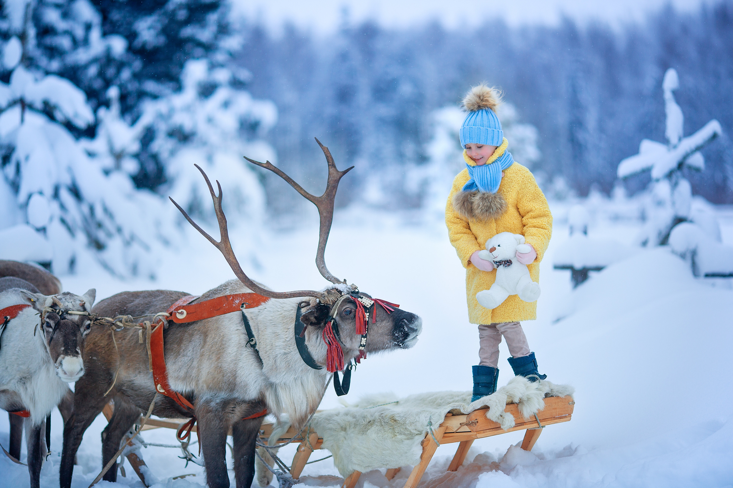 Нинель и олени. Детский и семейный фотограф Екатерина Васильева