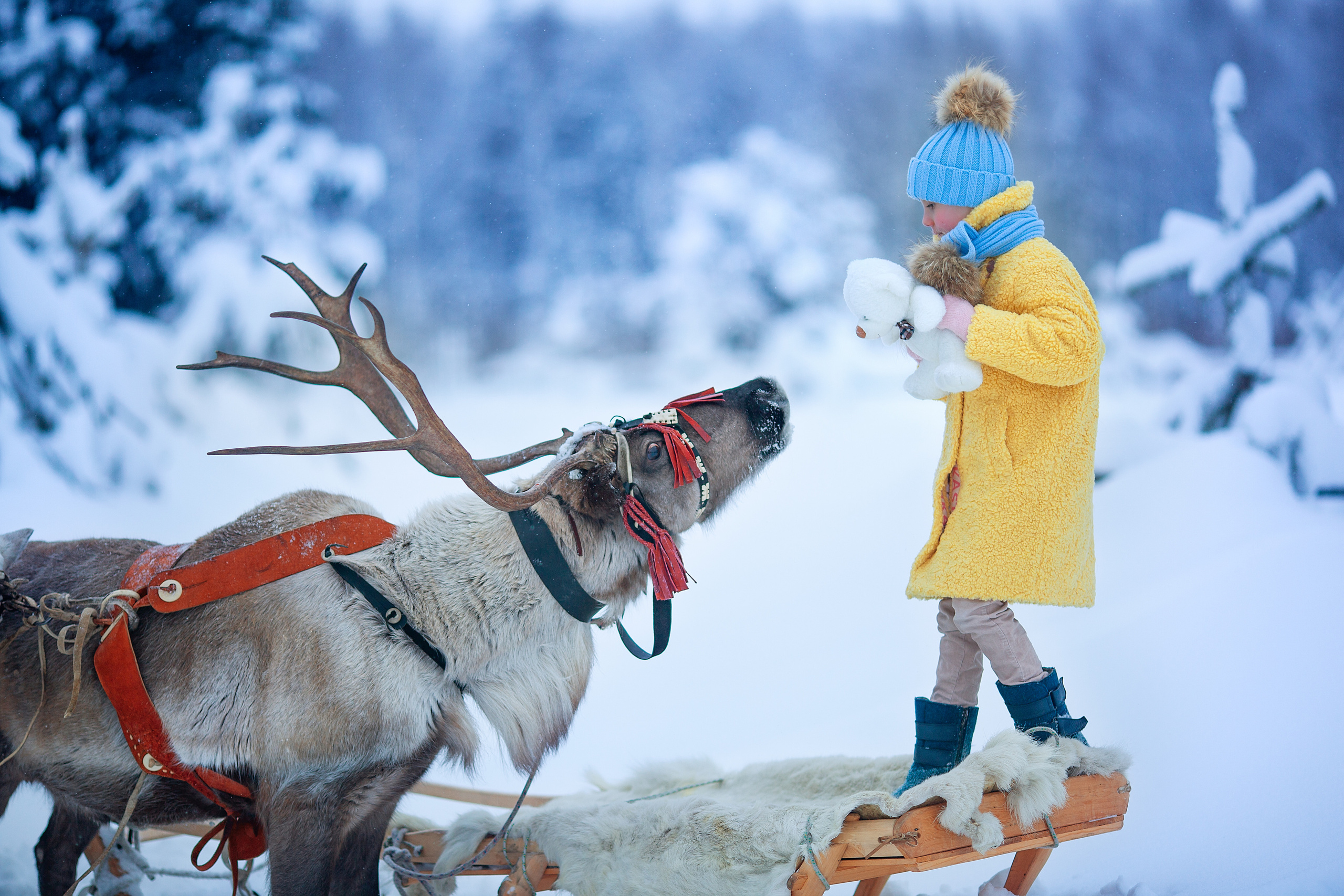 Нинель и олени. Детский и семейный фотограф Екатерина Васильева