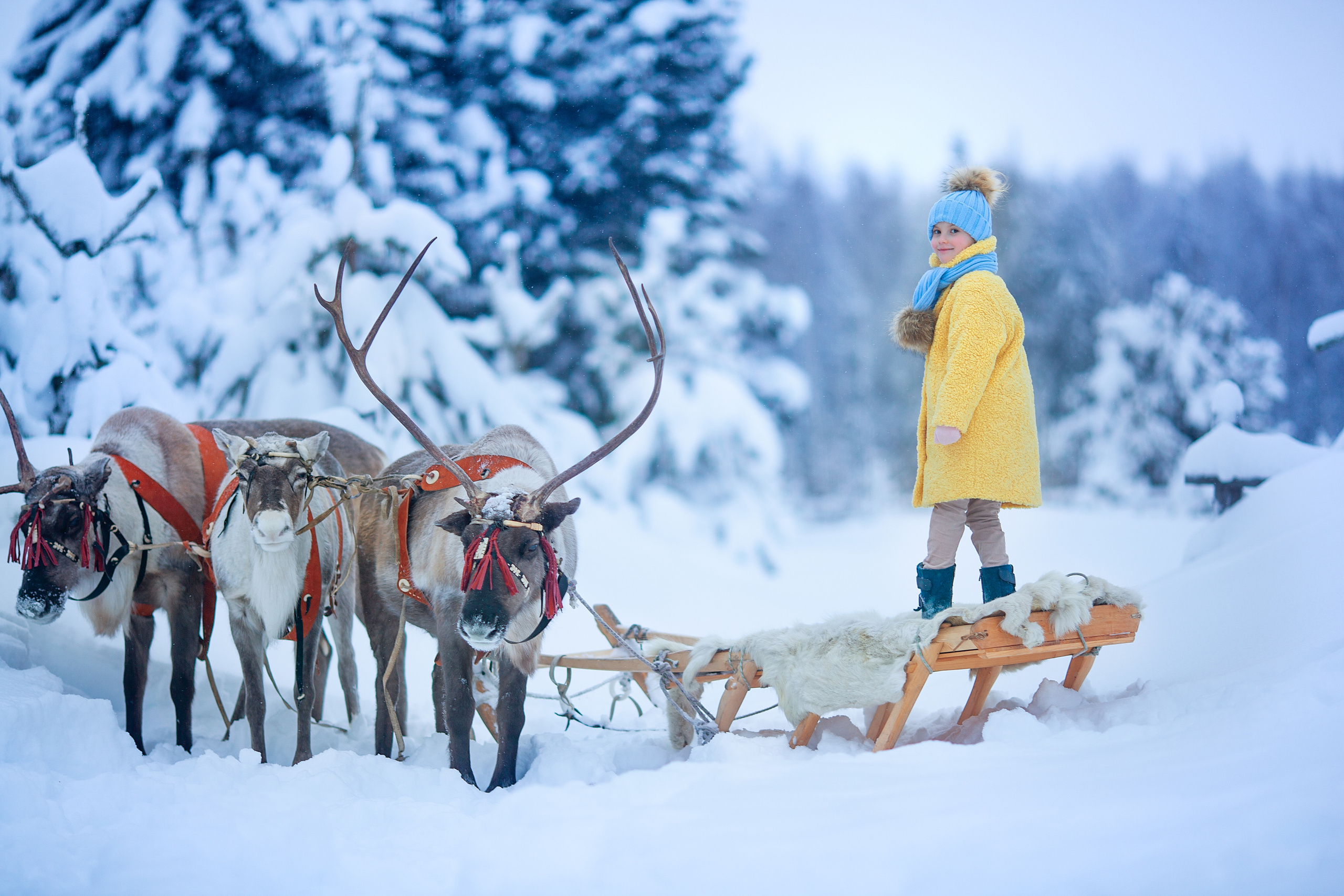 Нинель и олени. Детский и семейный фотограф Екатерина Васильева