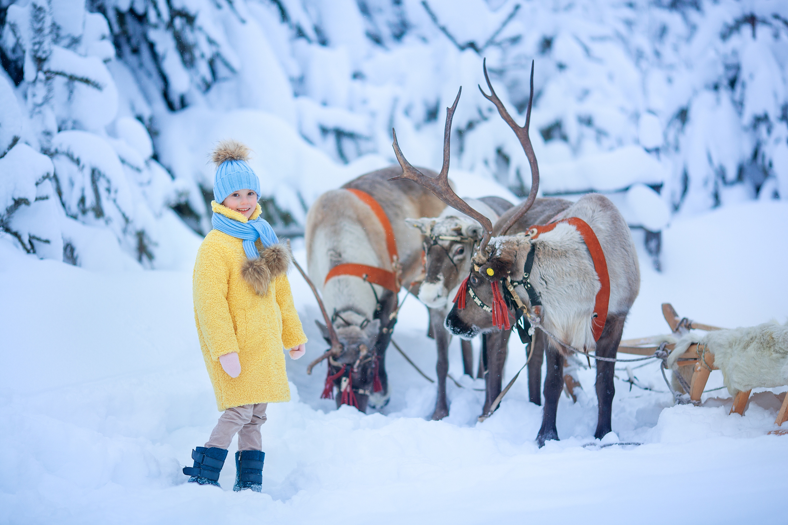 Нинель и олени. Детский и семейный фотограф Екатерина Васильева