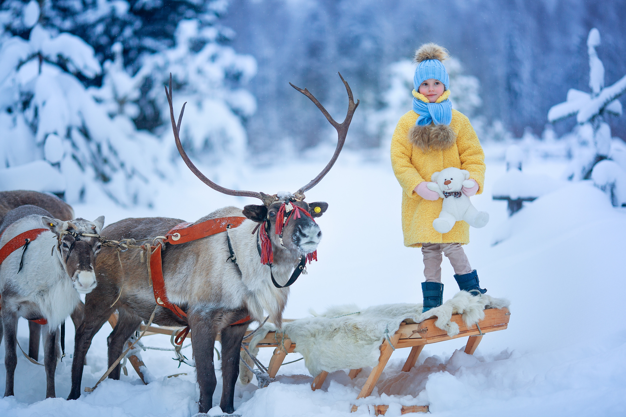 Нинель и олени. Детский и семейный фотограф Екатерина Васильева