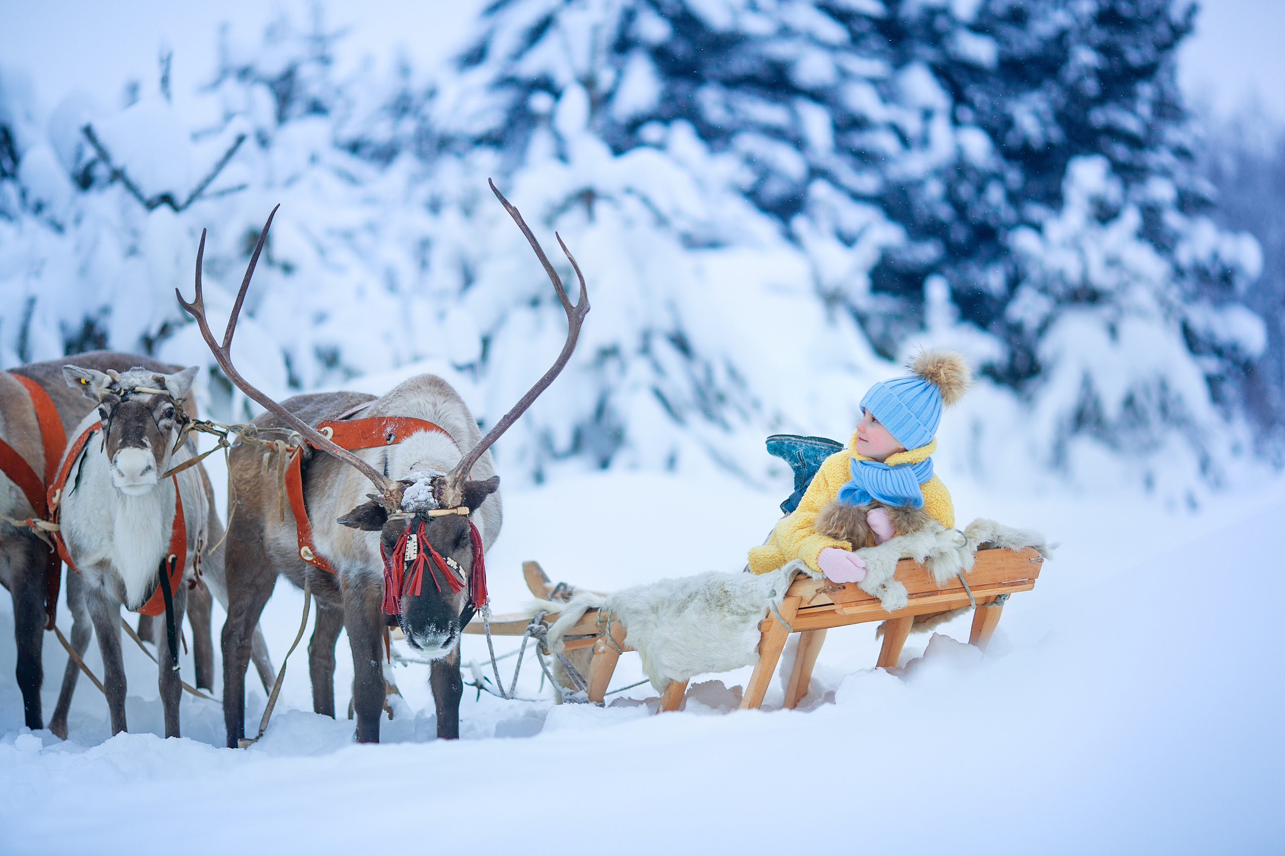 Нинель и олени. Детский и семейный фотограф Екатерина Васильева