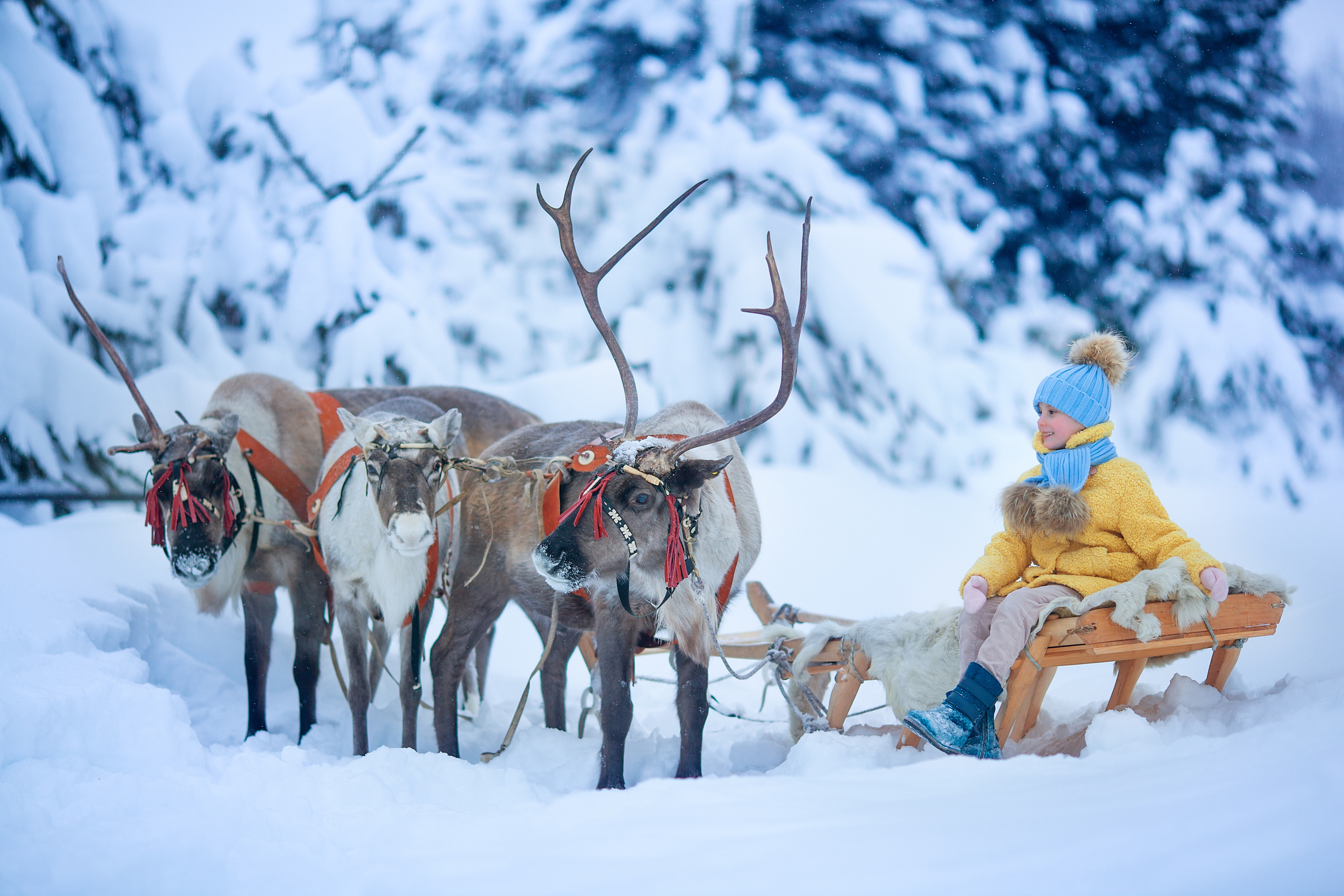 Нинель и олени. Детский и семейный фотограф Екатерина Васильева