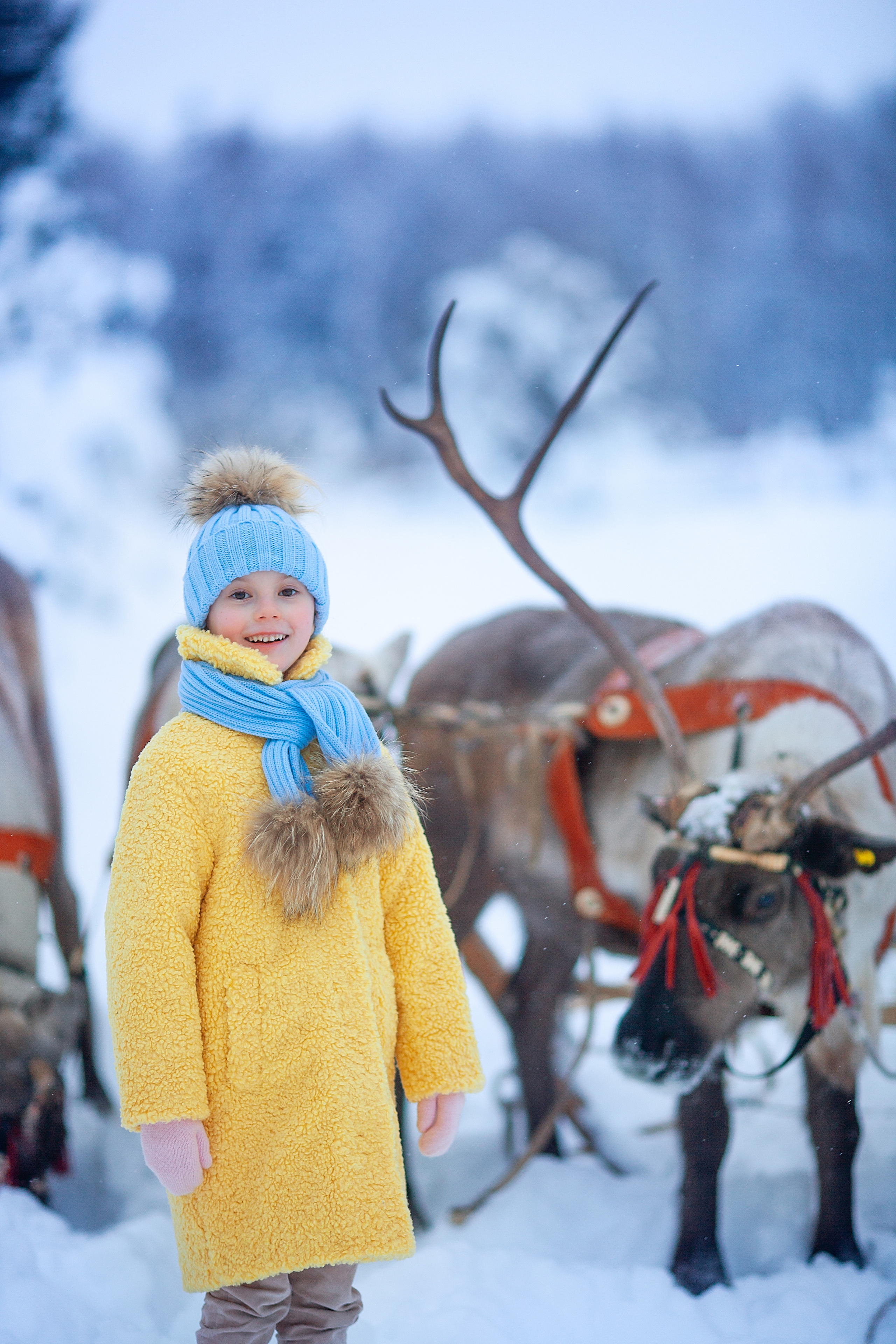 Нинель и олени. Детский и семейный фотограф Екатерина Васильева
