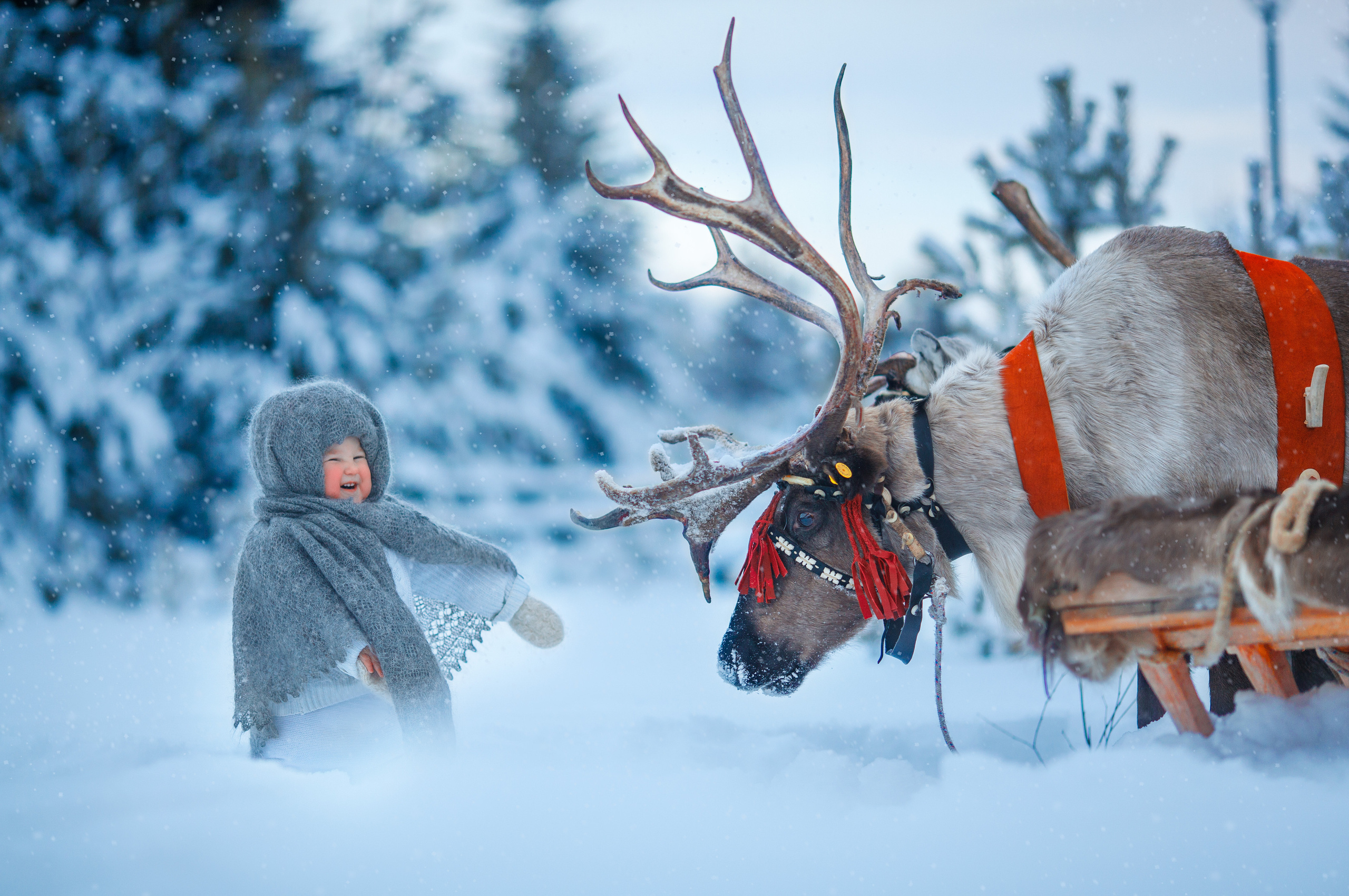 Детский и семейный фотограф Екатерина Васильева