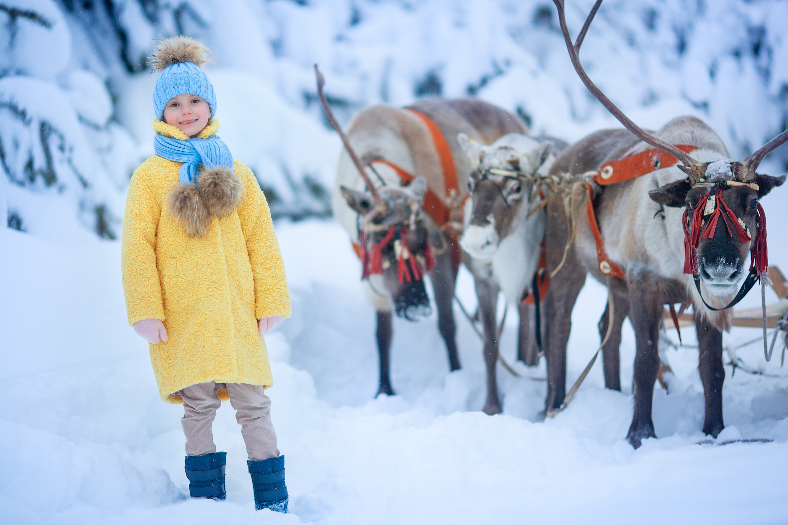 Нинель и олени. Детский и семейный фотограф Екатерина Васильева