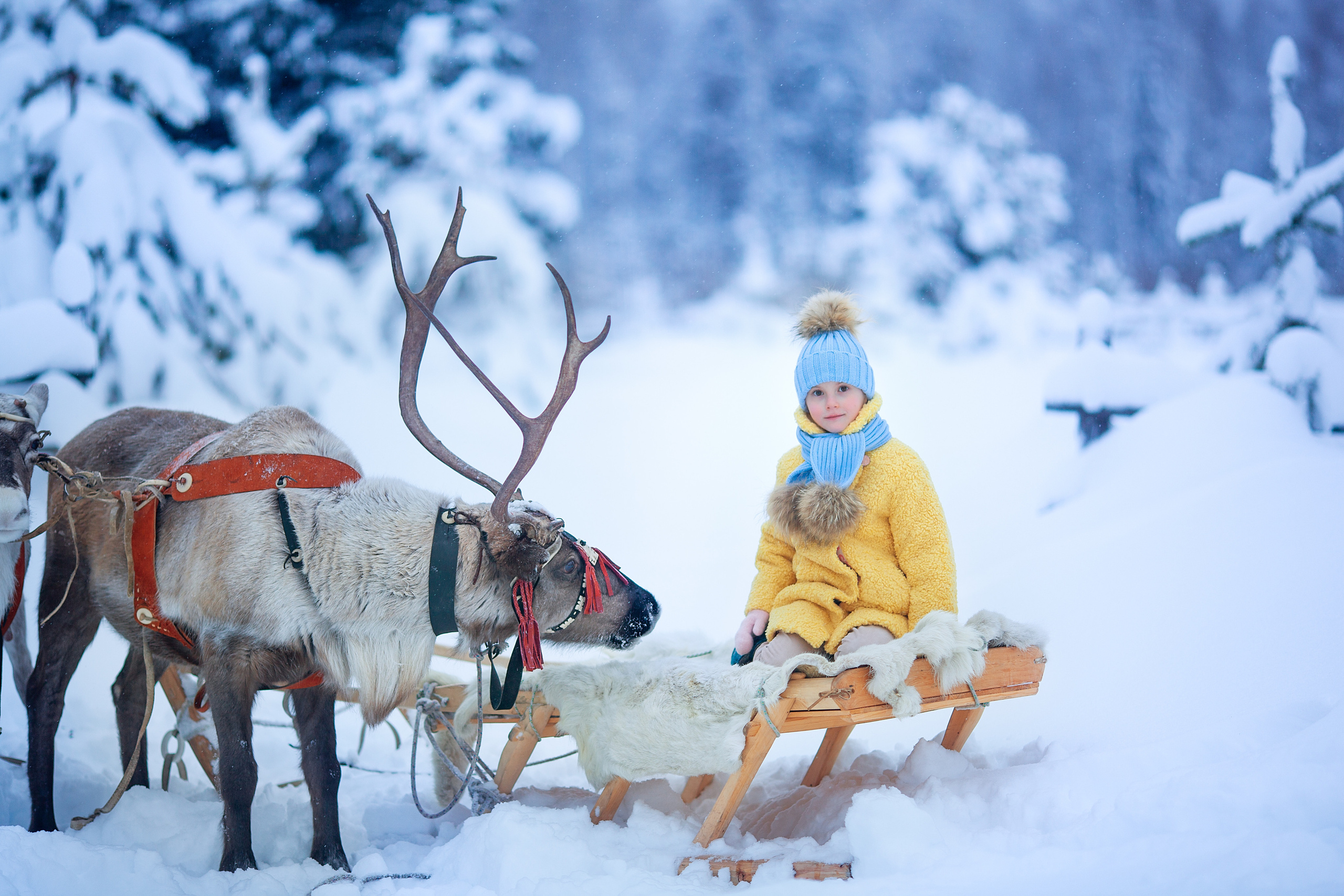 Нинель и олени. Детский и семейный фотограф Екатерина Васильева