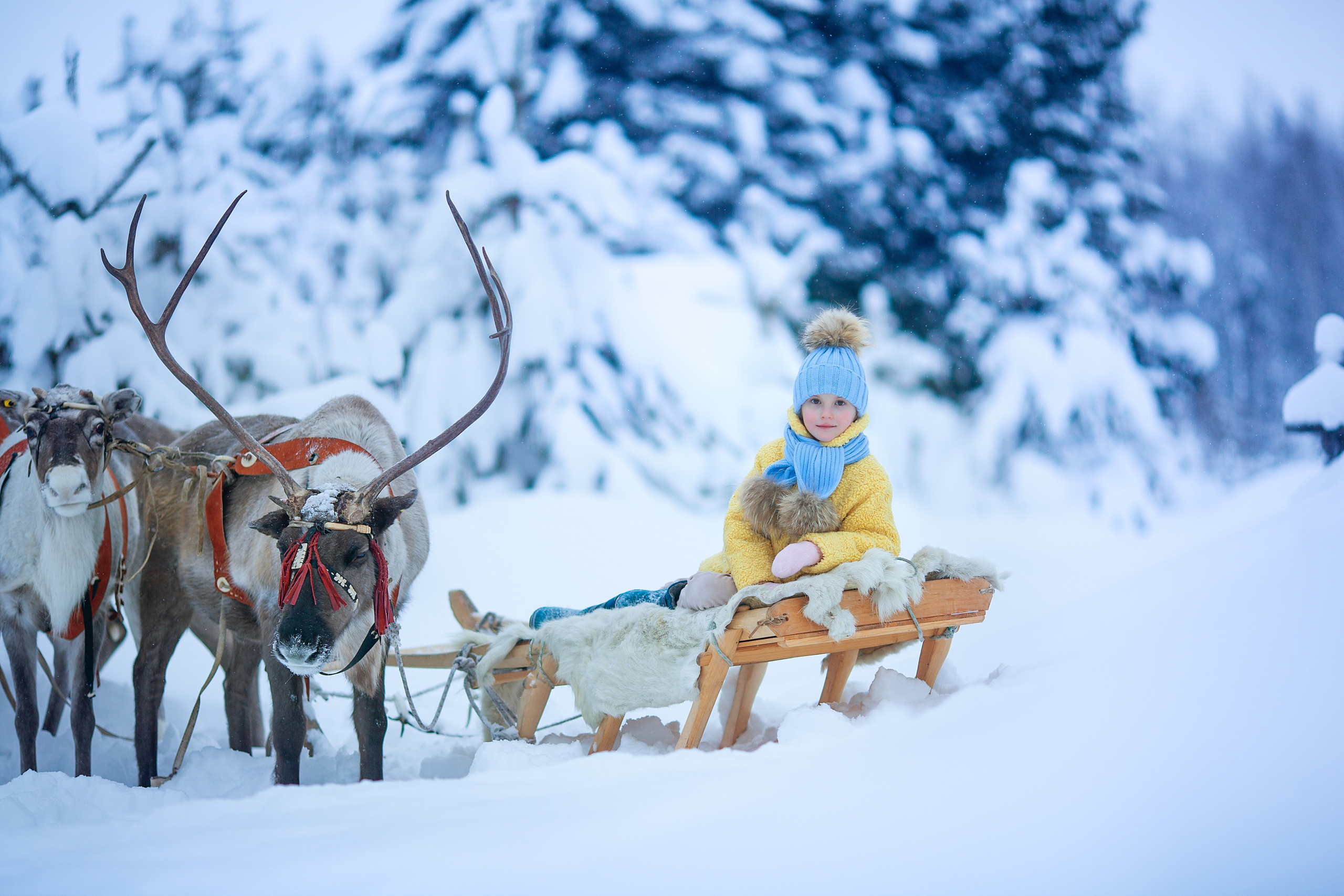 Нинель и олени. Детский и семейный фотограф Екатерина Васильева