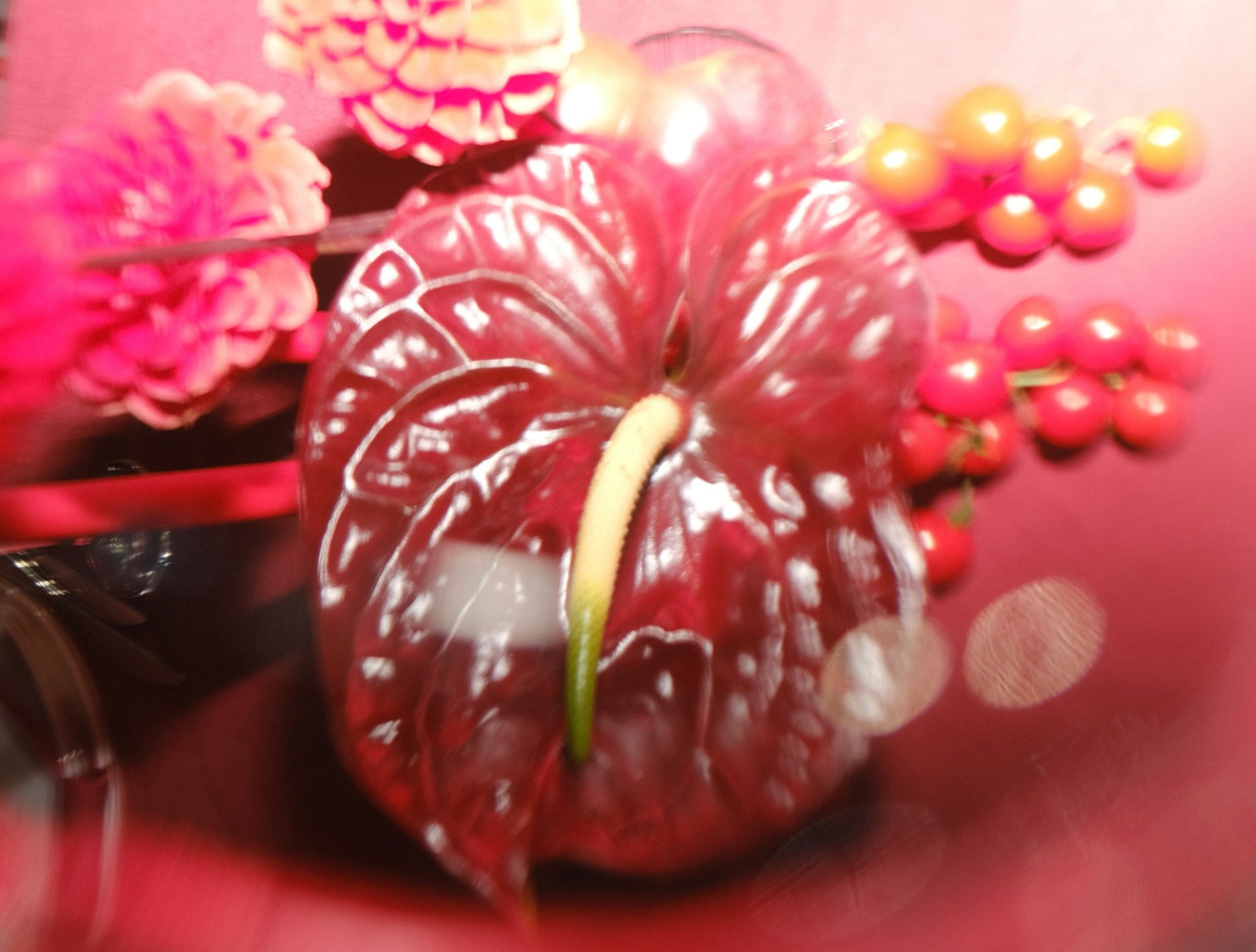 Цветочные принты. Фотограф Анна Чанаях