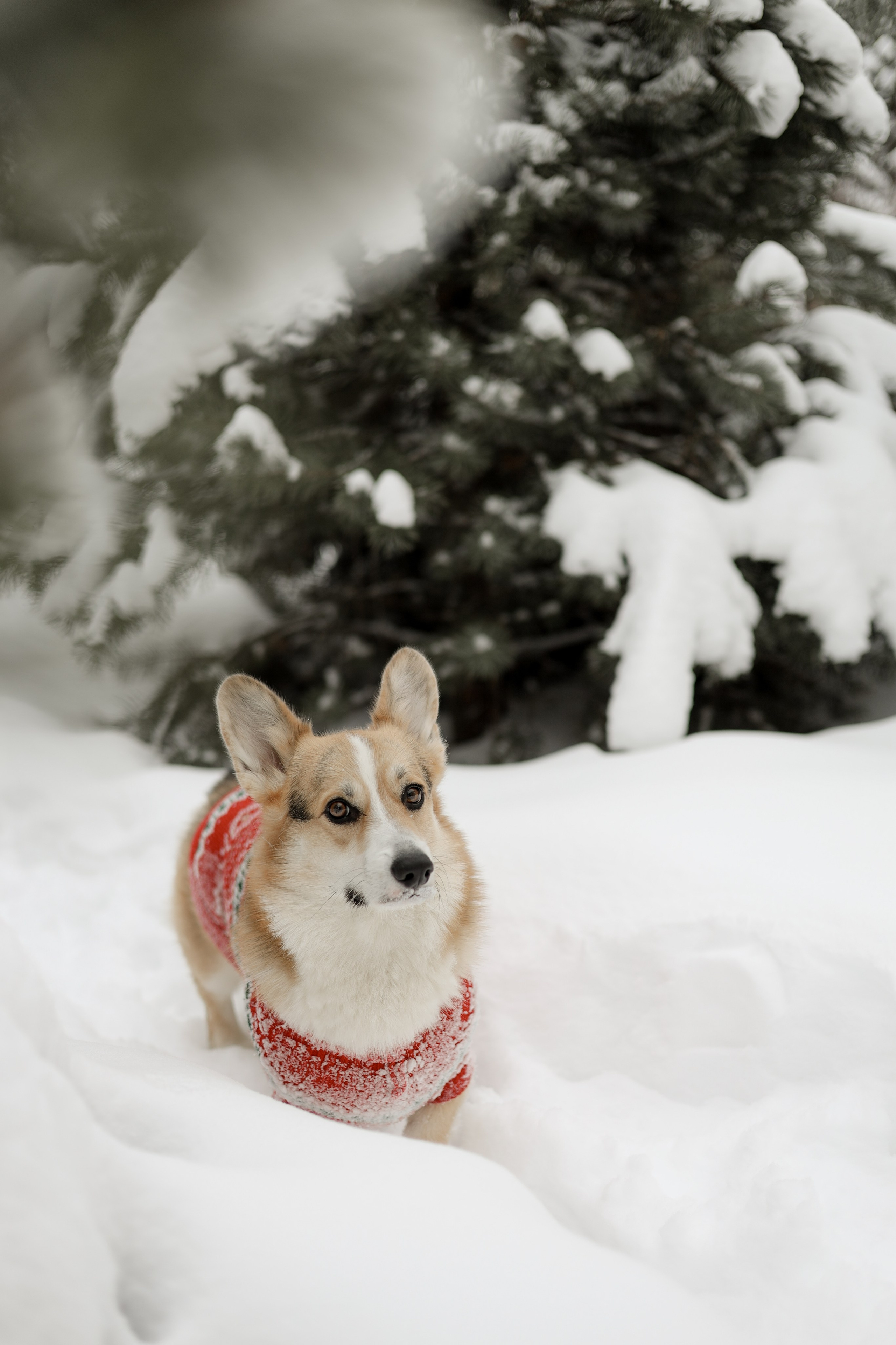№ 2. Photographer Tatiana Ivanova in Yaroslavl