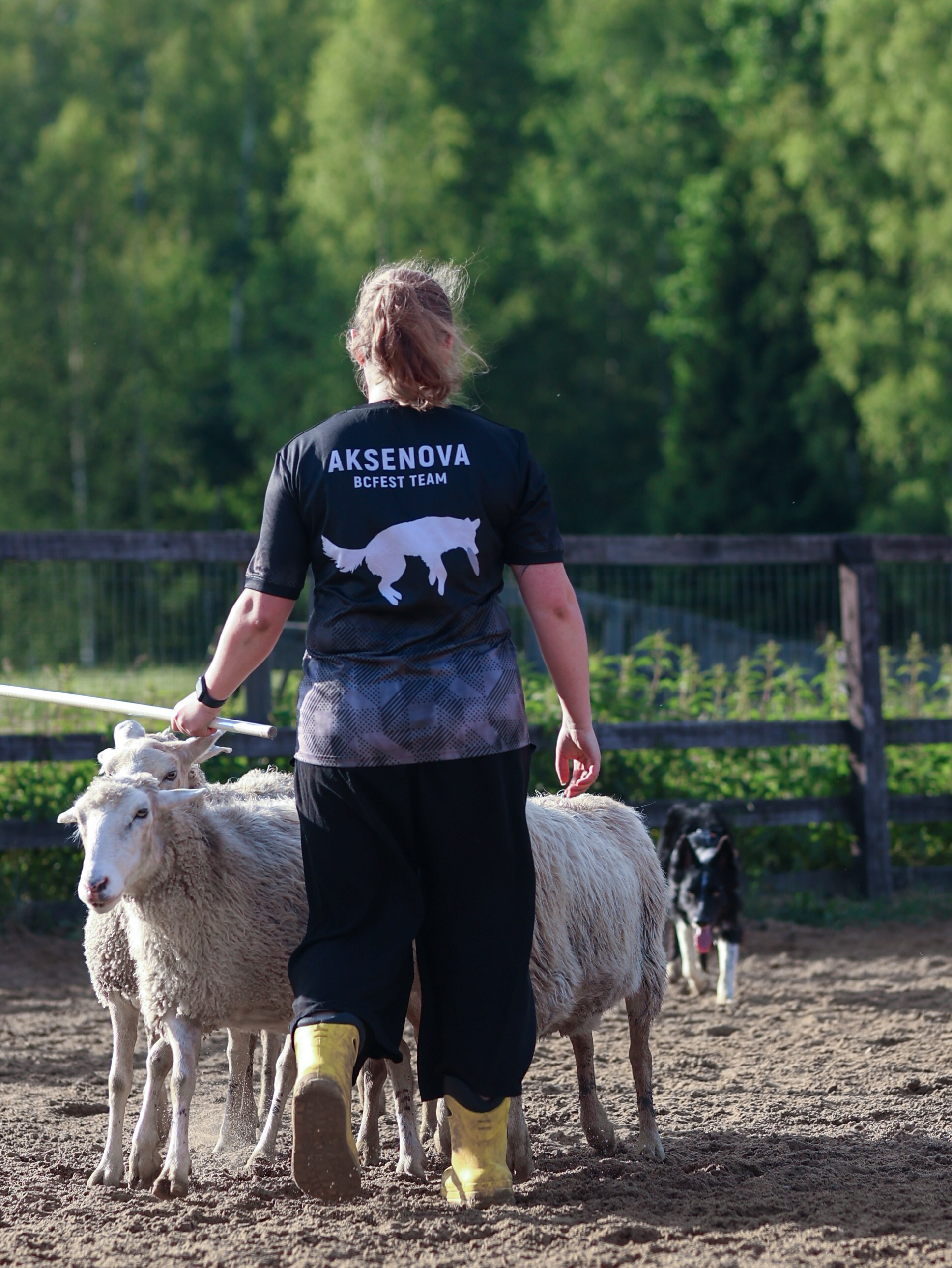 Пастьба. Фотограф-анималист в Москве Кириллова Татьяна