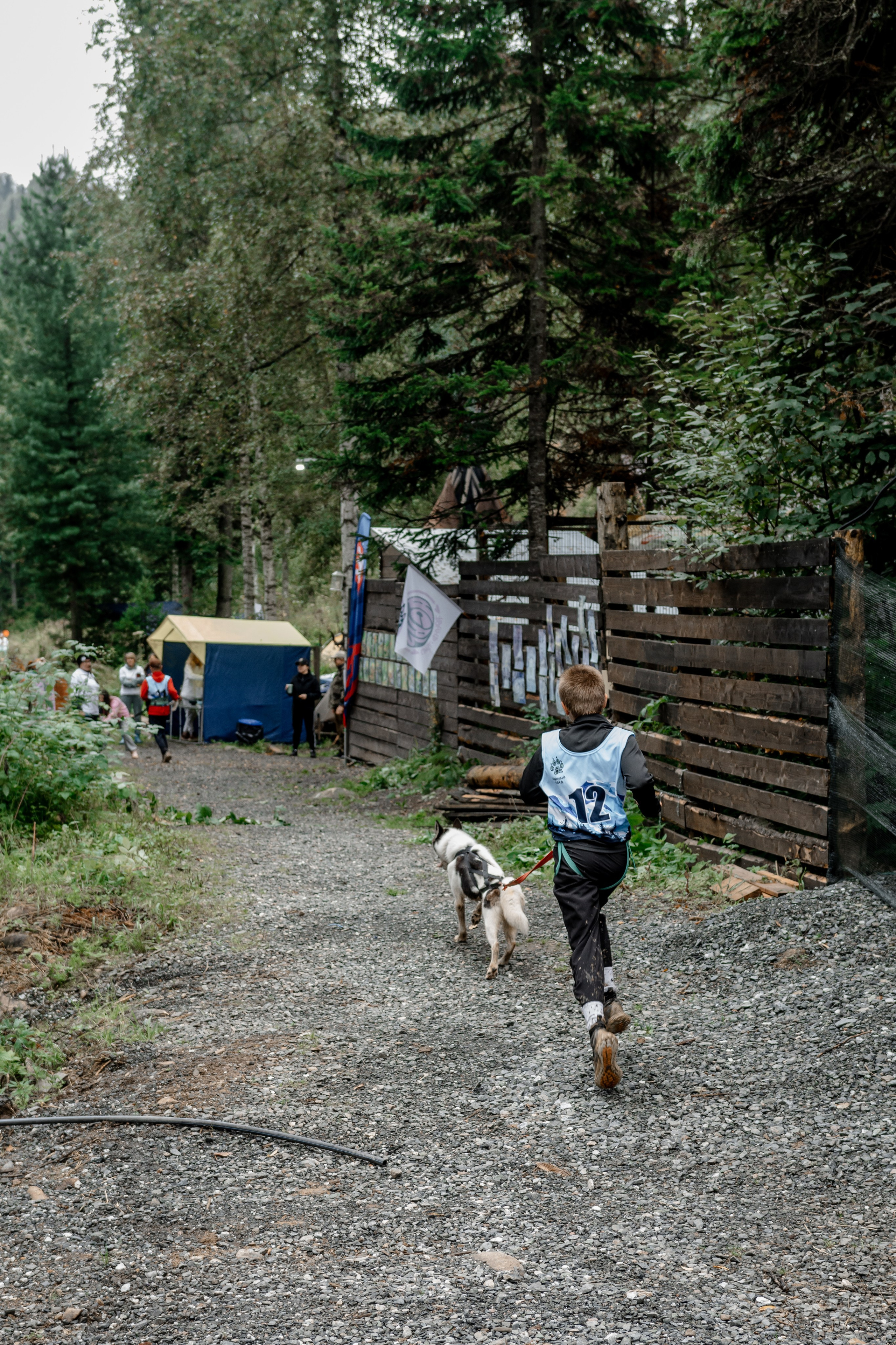 Дог-треккинг