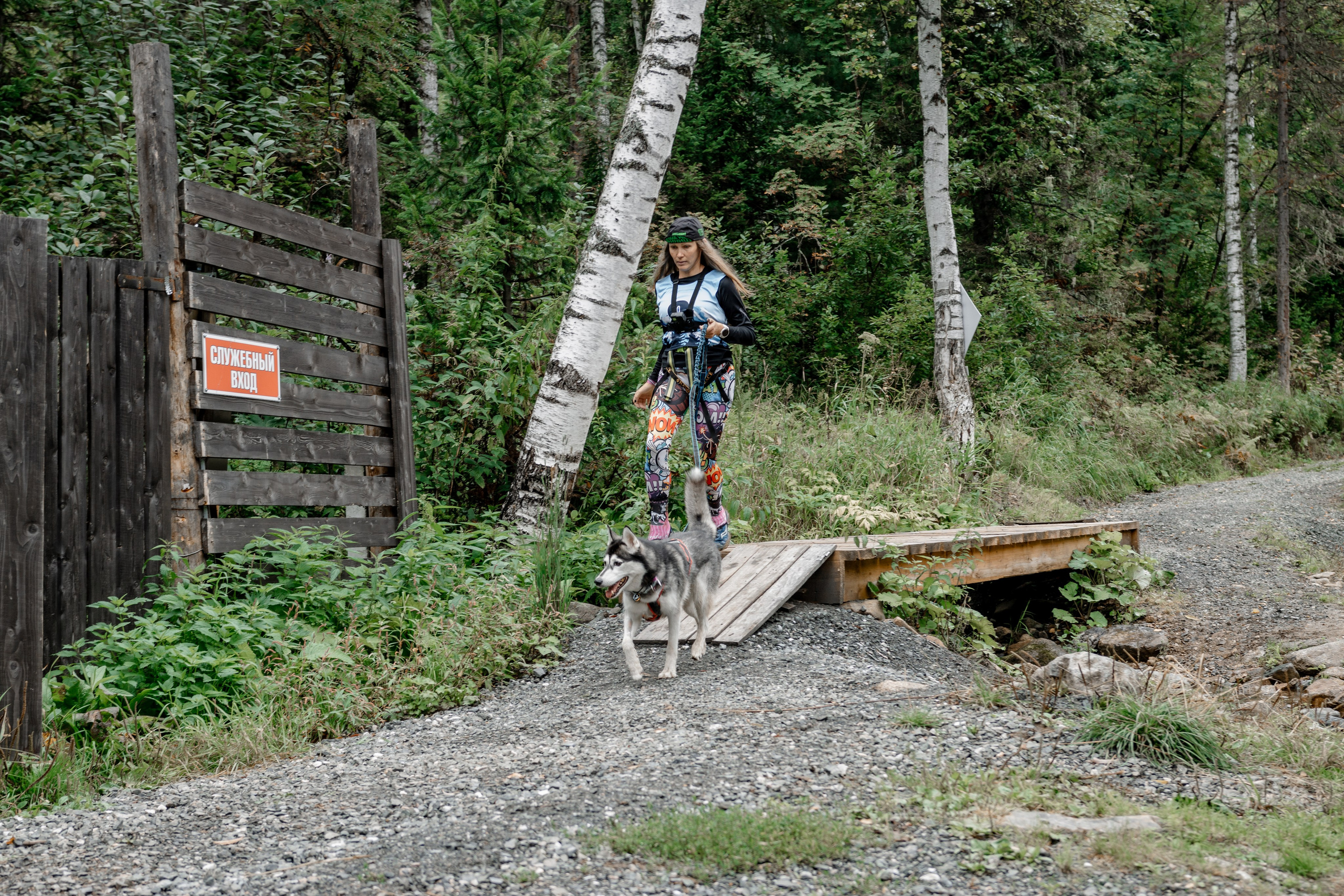 Дог-треккинг