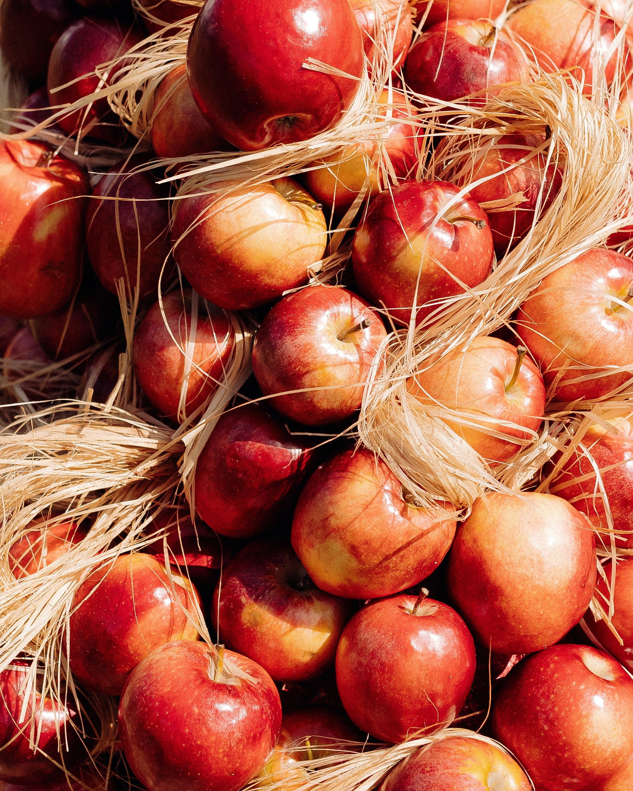 Илья да Вероничка. Свадебный и портретный фотограф в Москве Анна Плавская