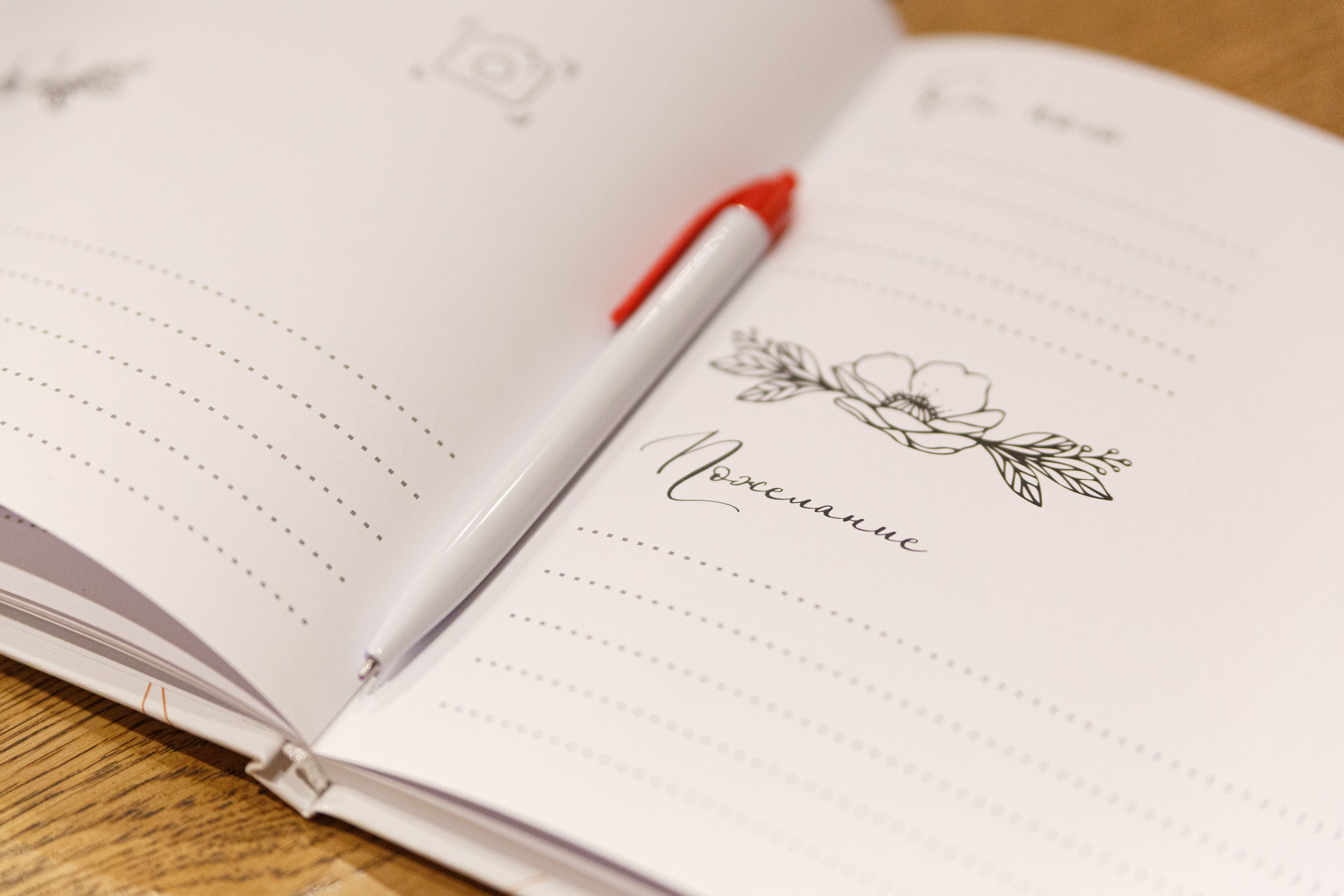 Репортажи. Фотограф Дарья Улюсова