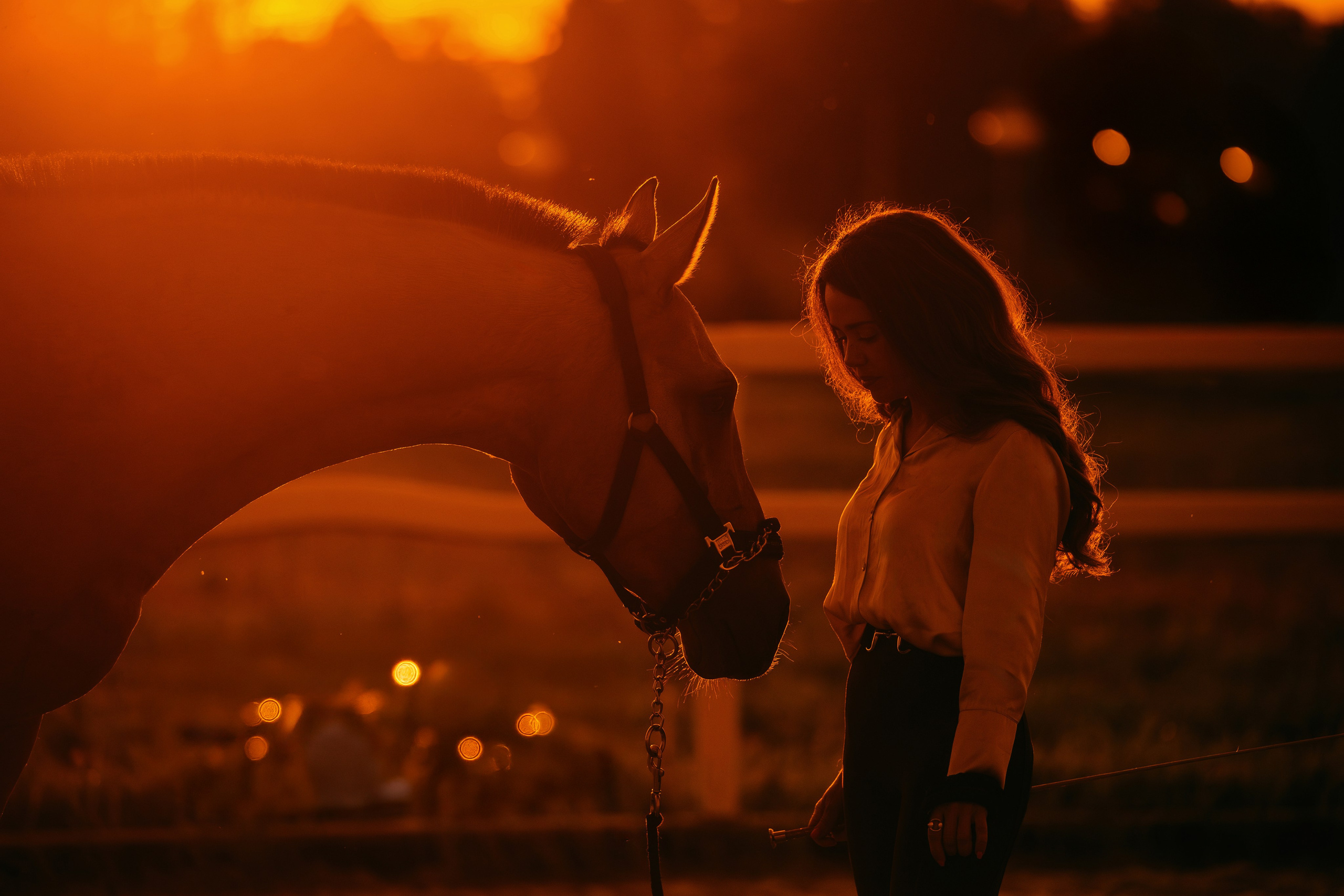 Лена и Персей. Фотограф-анималист Ксендзова Кристина