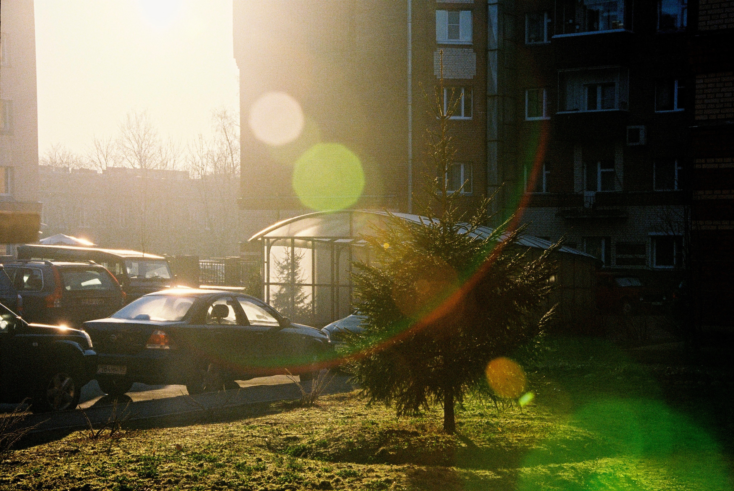 Film. Ruslan UI Dev Page