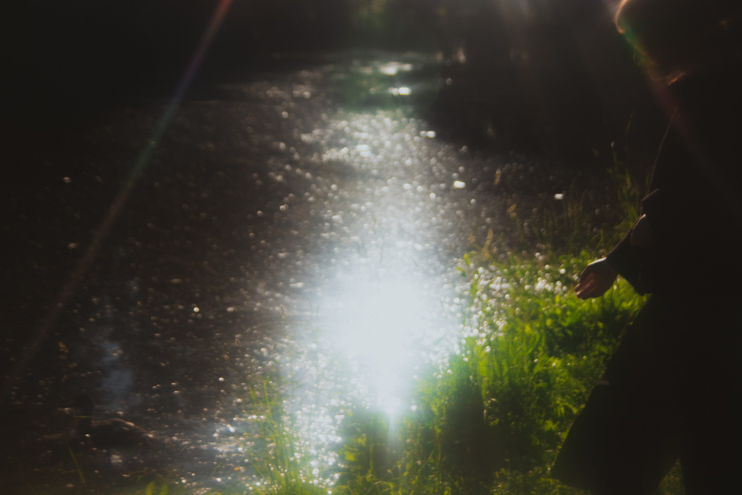 Диана. Анна Мильч