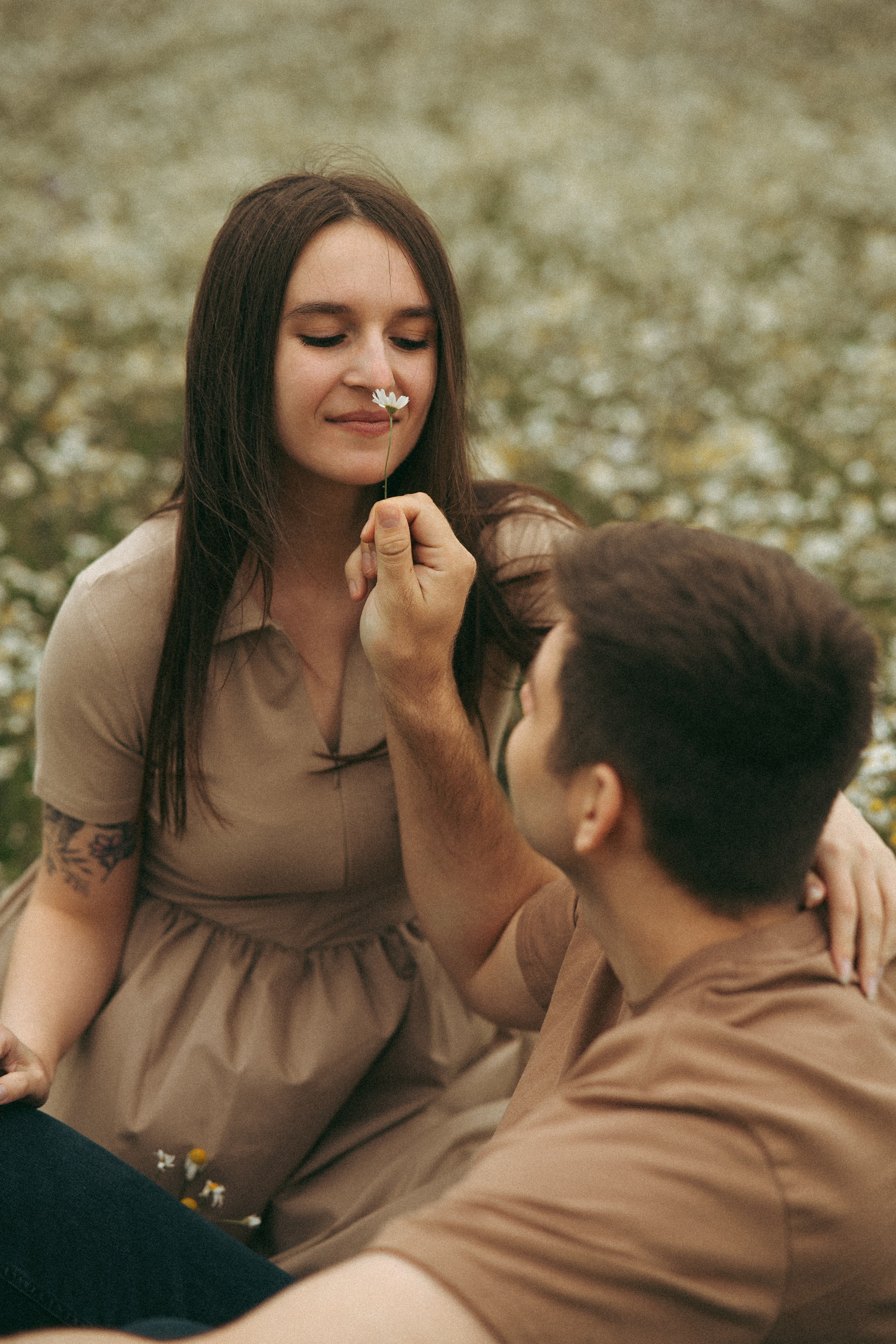Ромашки. Фотограф Мария Зайчик