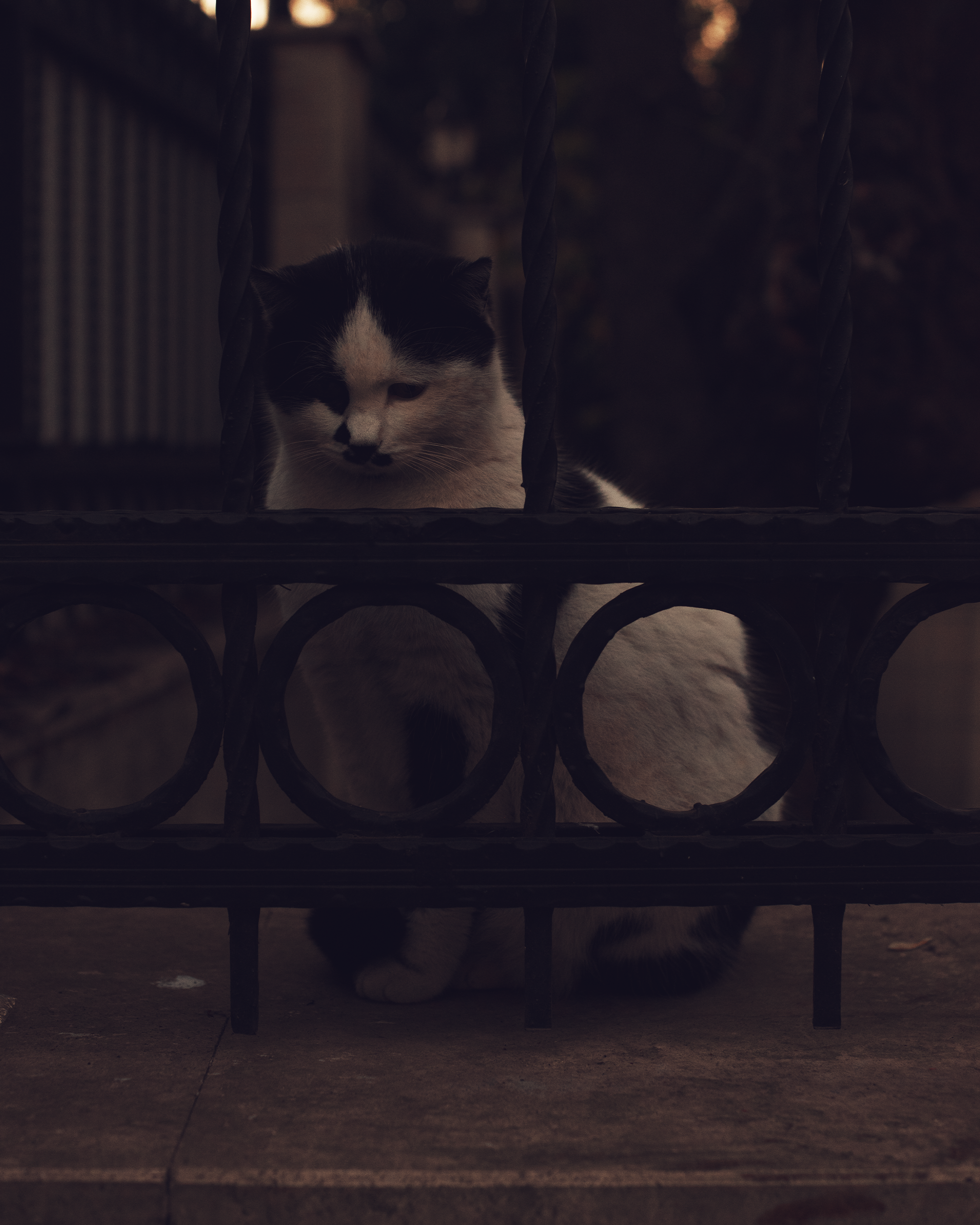 Стамбул в кадре: взгляд рекламного фотографа из Гуанчжоу. Коммерческий и предметный фотограф в Гуанчжоу Коваленко Александр