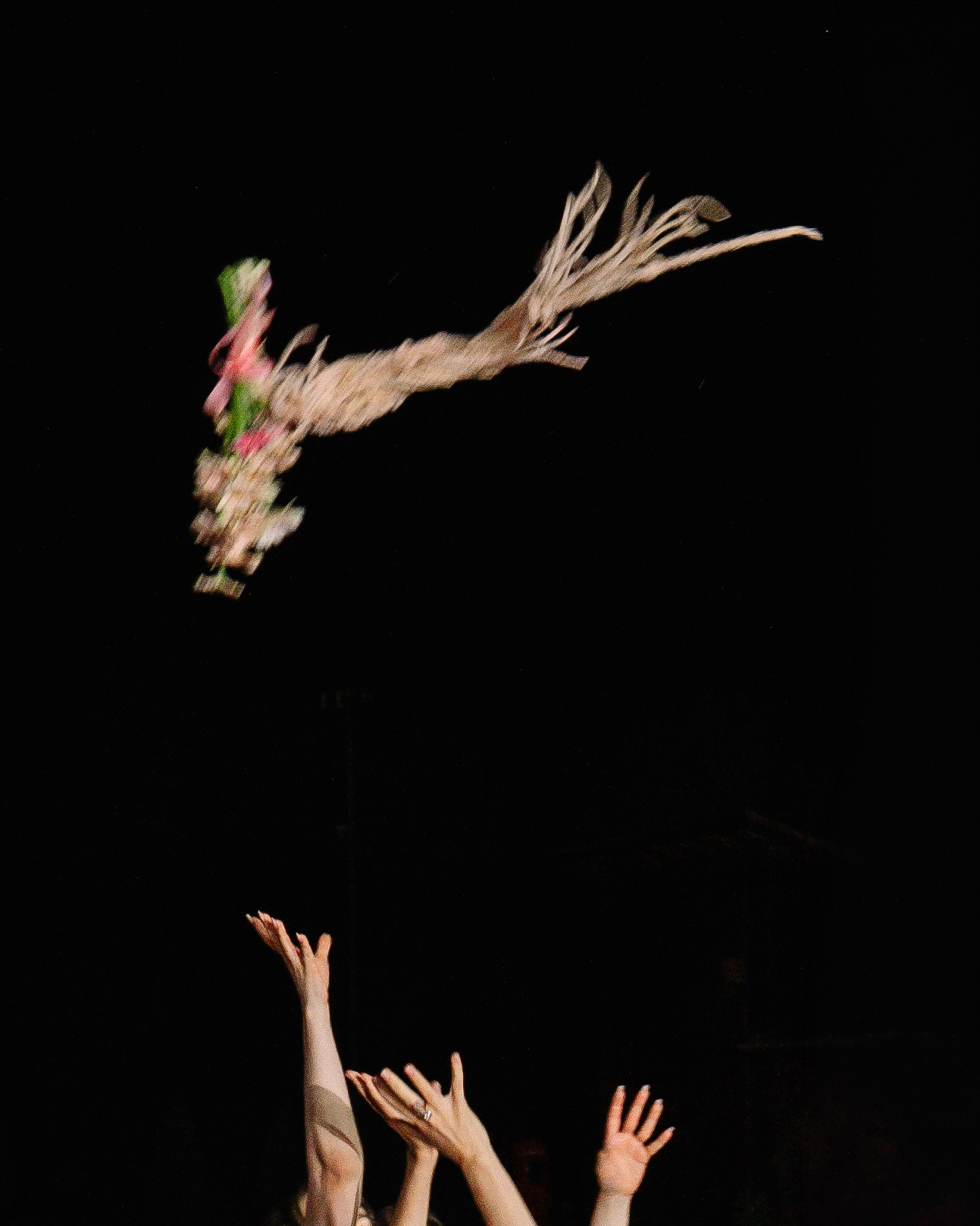 Навсегда начинается здесь. Свадебный и семейный фотограф в Анапе Елена Полетаева