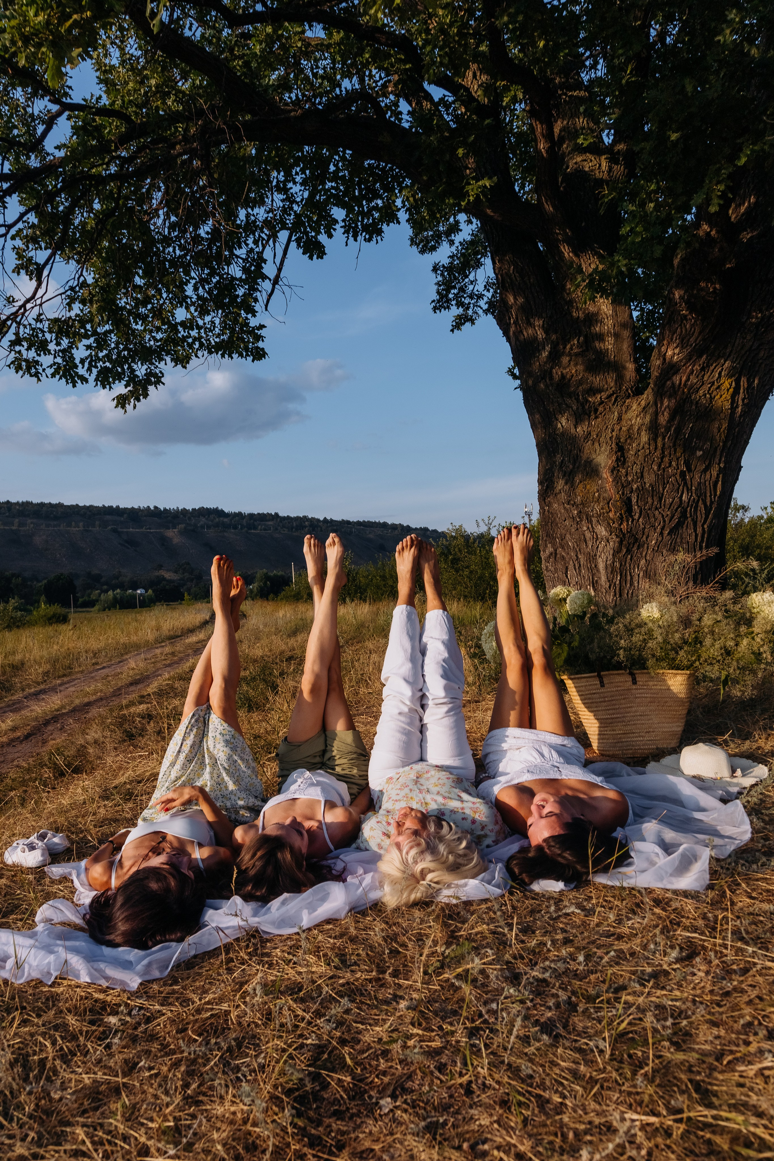 Д р е в о. Romashka photo