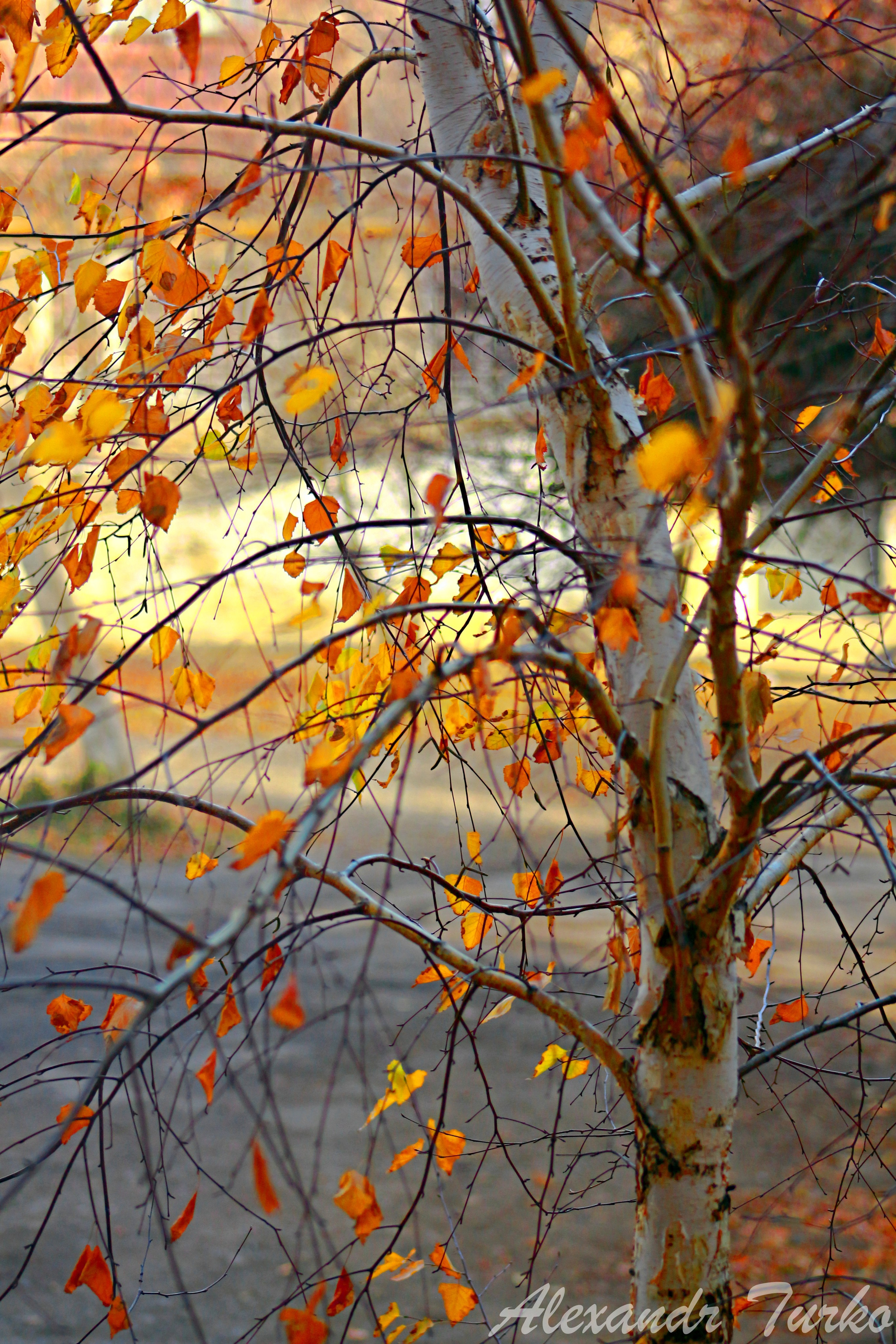 Пейзажи. Фотограф из Донецка Александр Турко