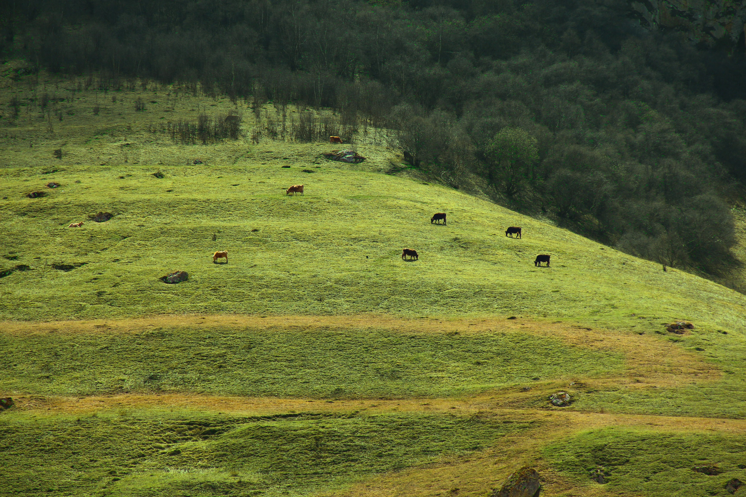 Лучше гор могут быть только горы…. Фотограф из Донецка Александр Турко