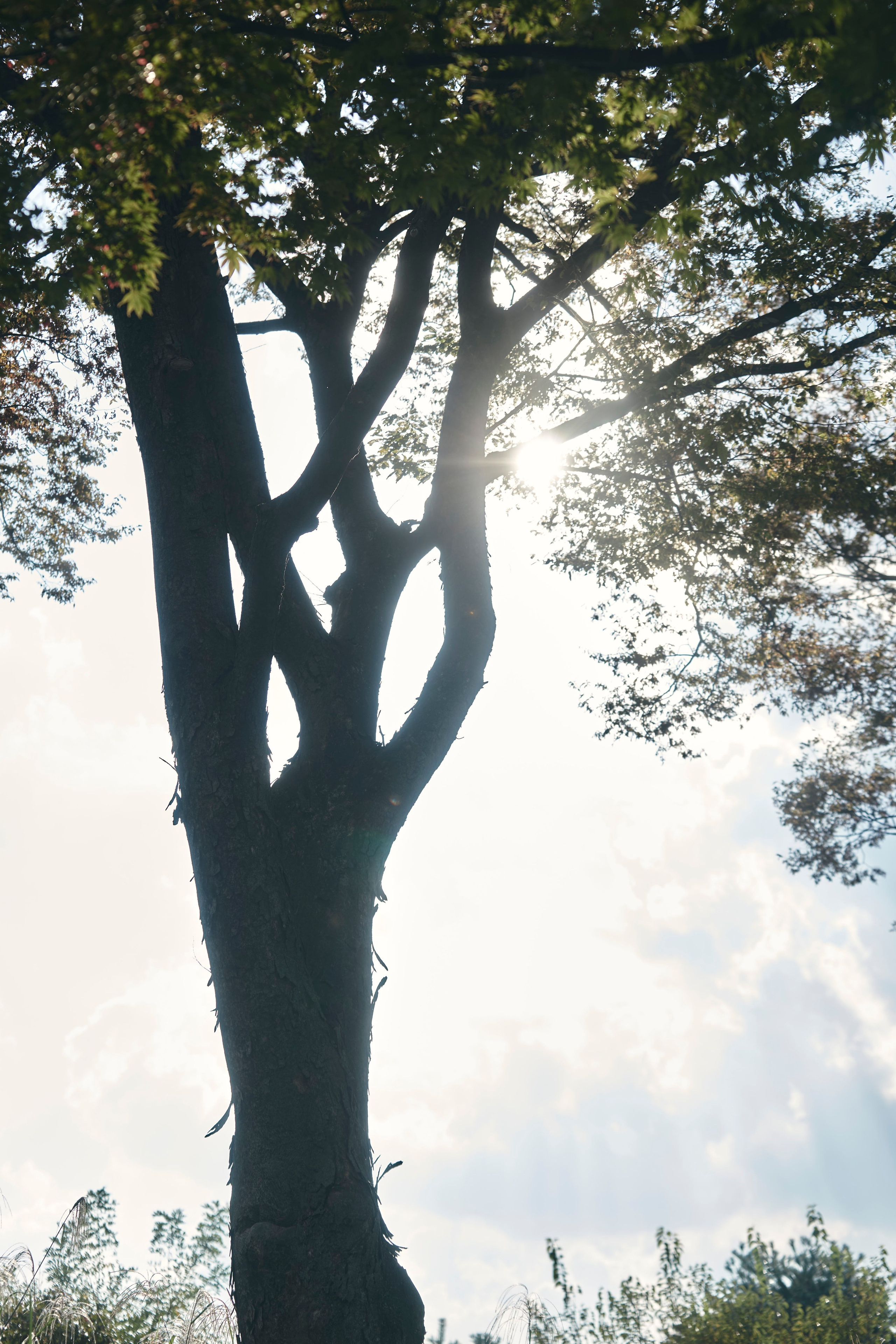 TRAVEL. Фотограф Наталья Леонова