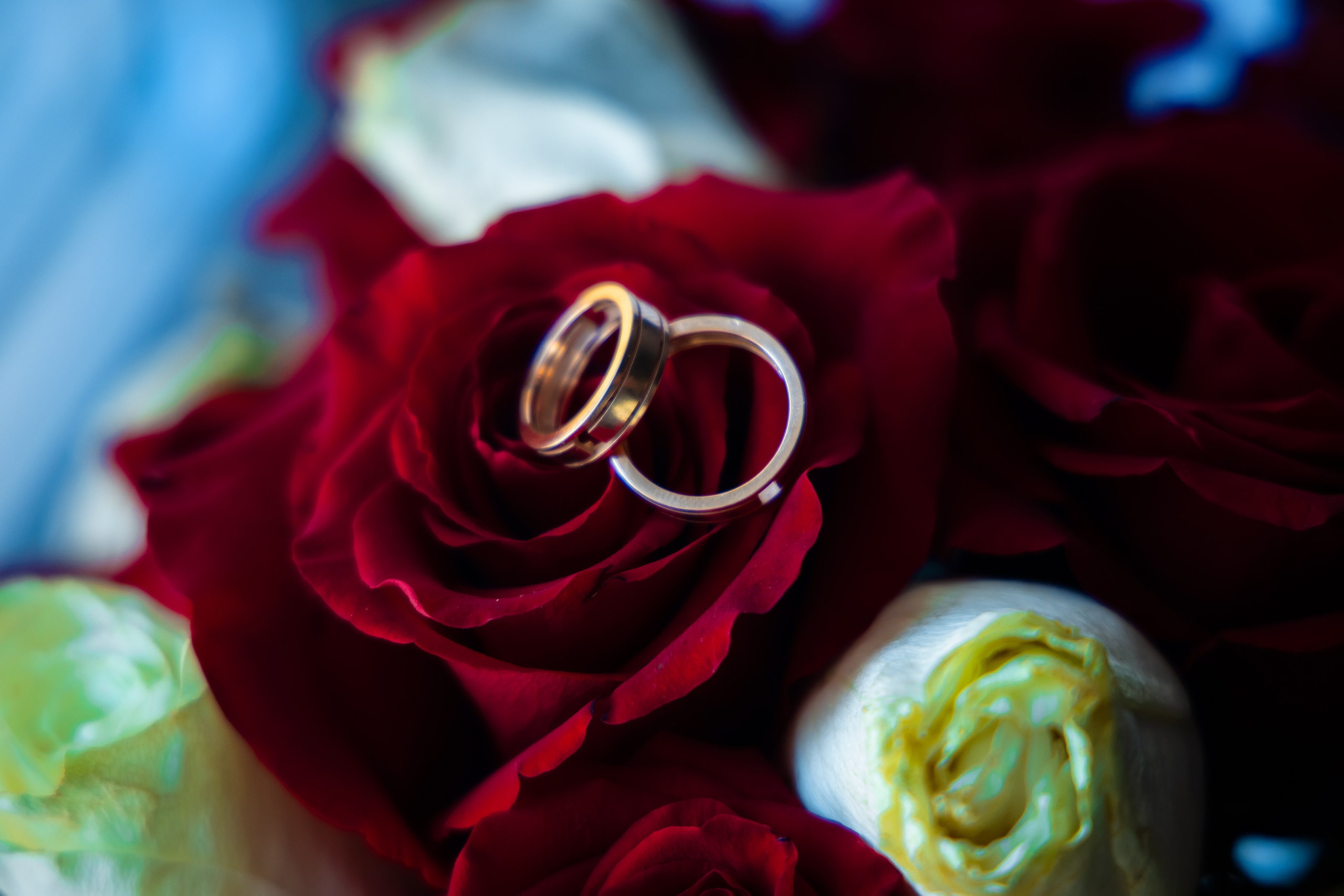 Лилия Караганда. Семейный и Свадебный фотограф в Астане Александр Астапов