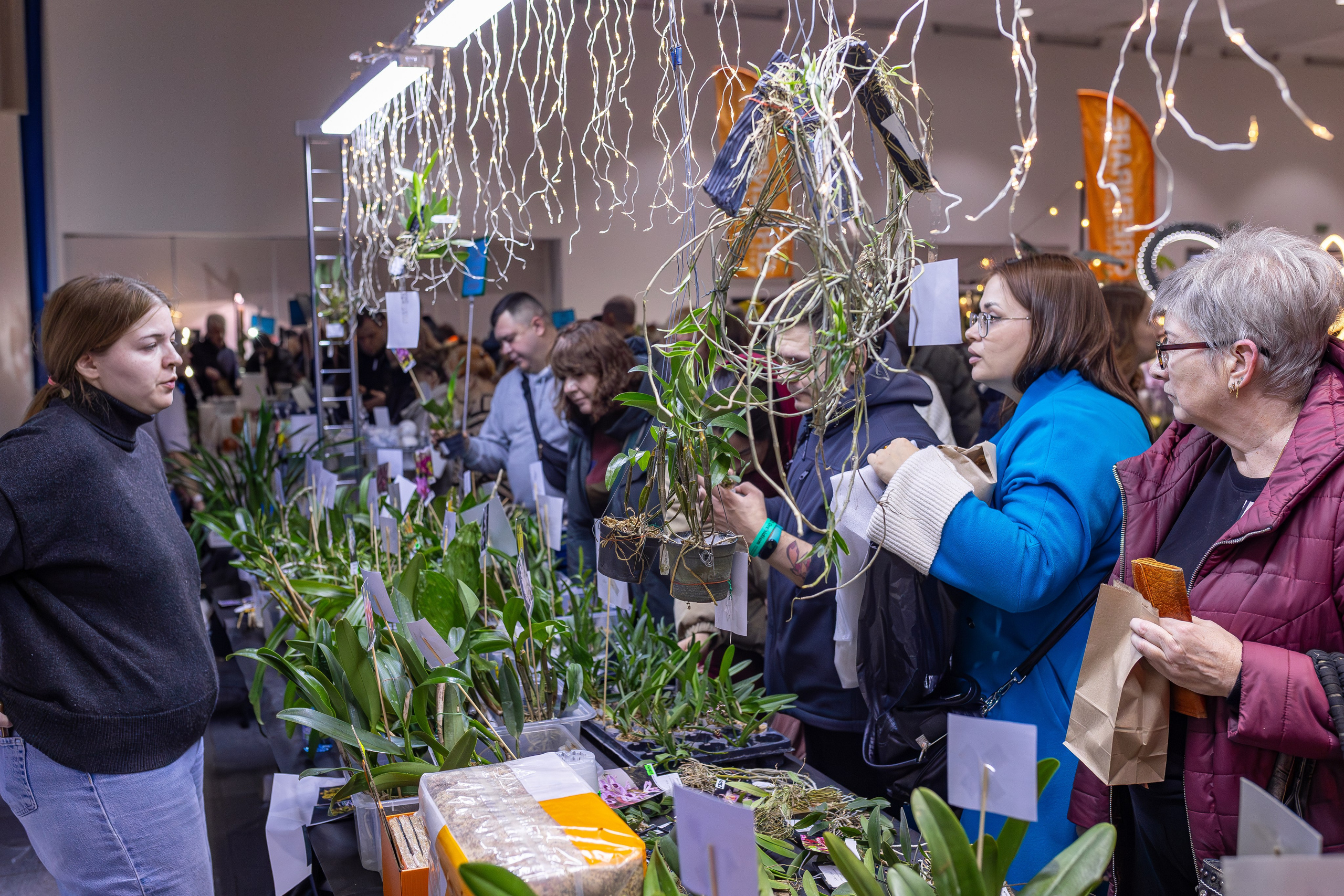 Орхидиум 12.2025. Александра Куликова фотограф, Москва