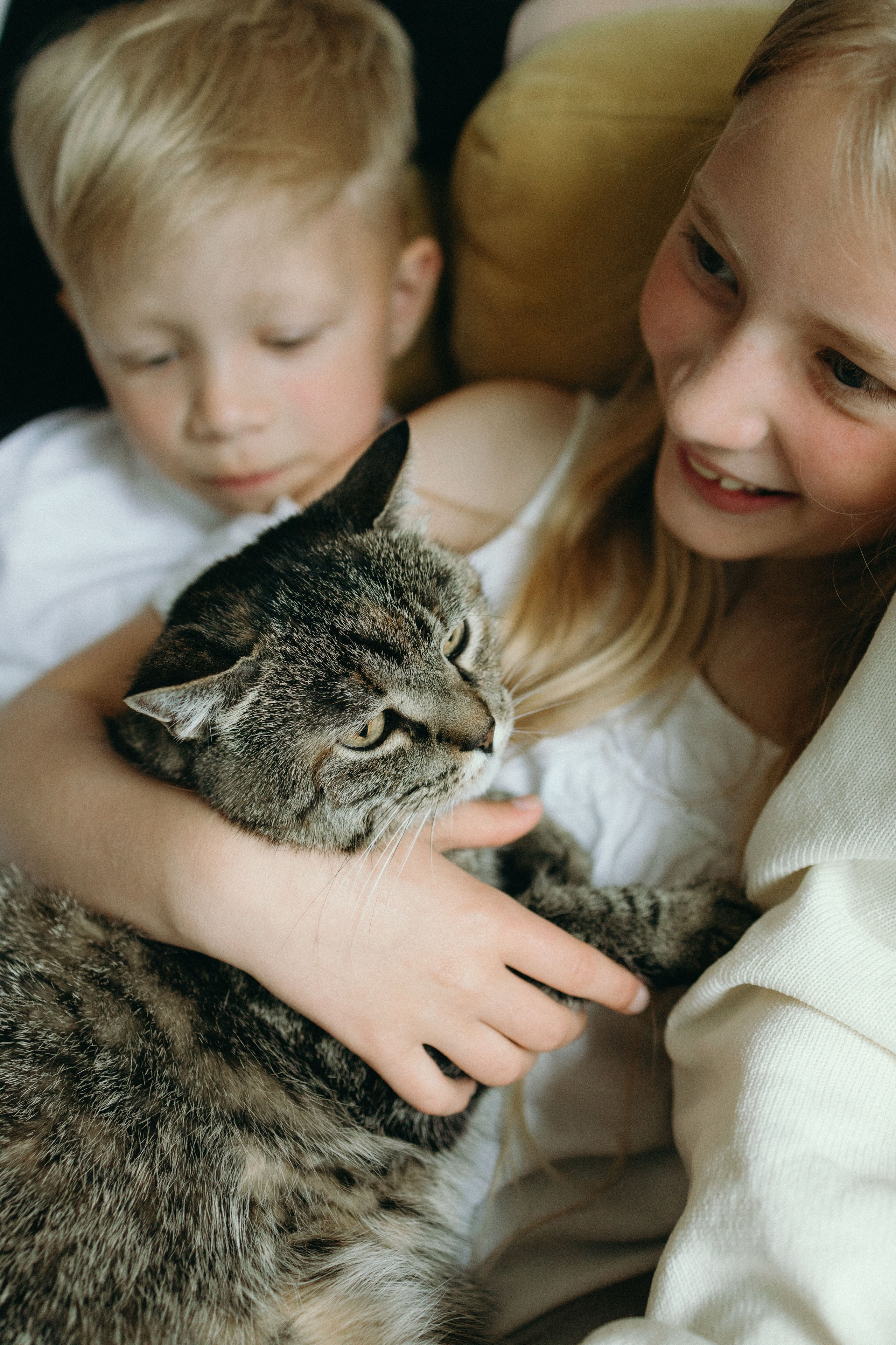 Lovely family. Family and portrait photographer Helsinki
