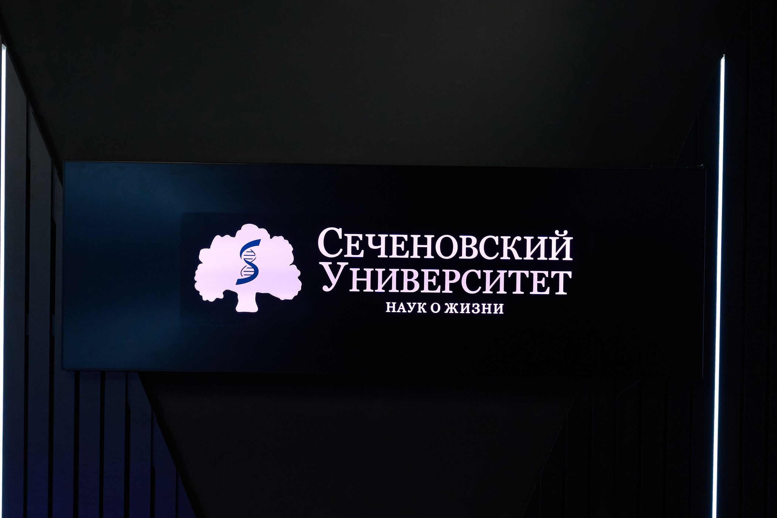 РАЗНОЕ. PRO-AGELESS