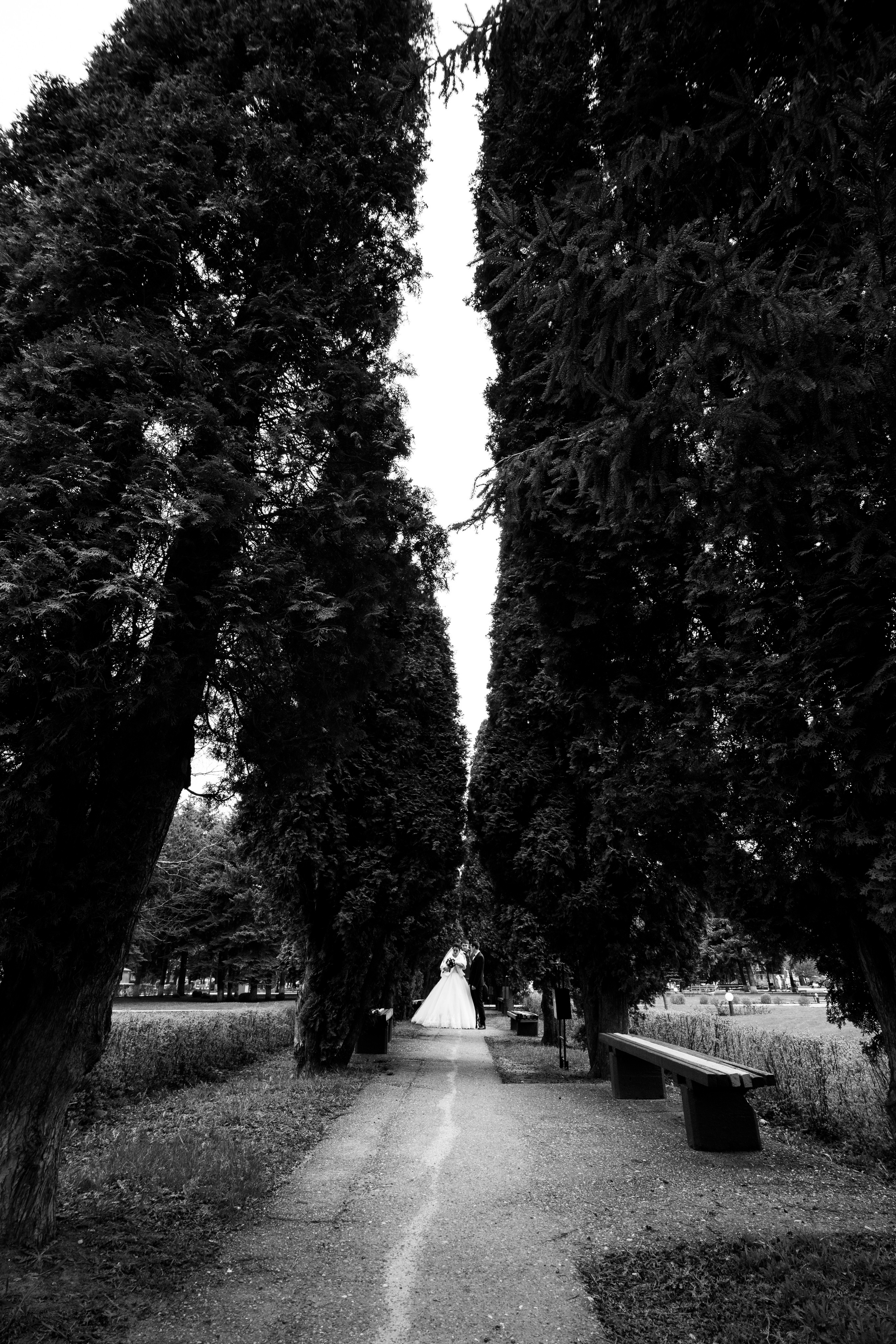 — Свадьба. Фотограф Кочкаев Роман